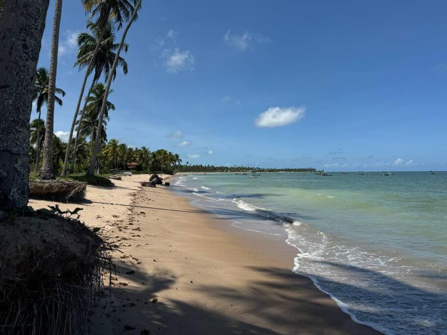 Praia do Patacho - Rota Ecológica de São Miguel dos Milagres