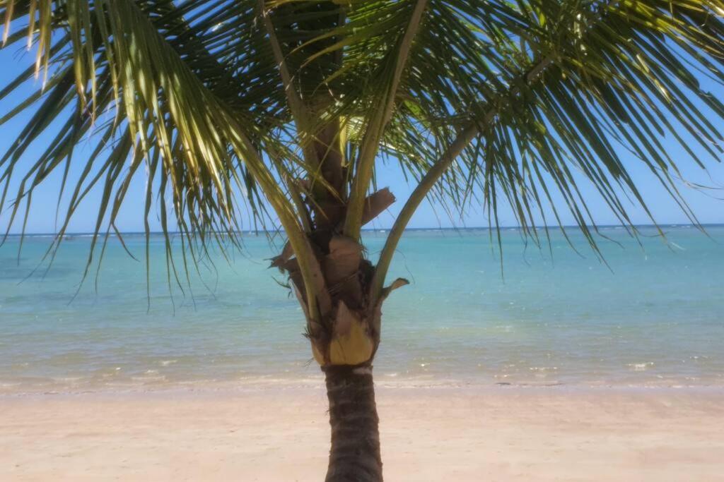 Praia do Patacho - Rota Ecológica de São Miguel dos Milagres