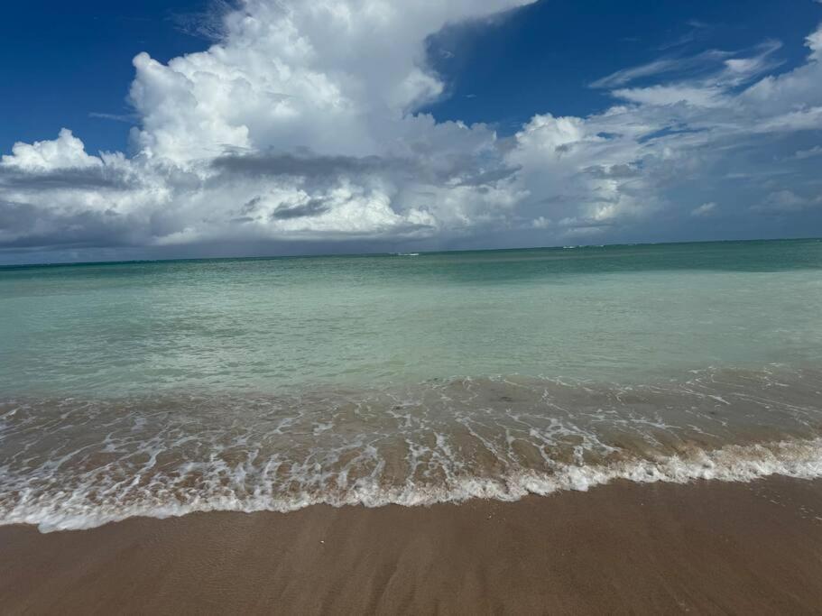 Praia do Patacho - Rota Ecológica de São Miguel dos Milagres