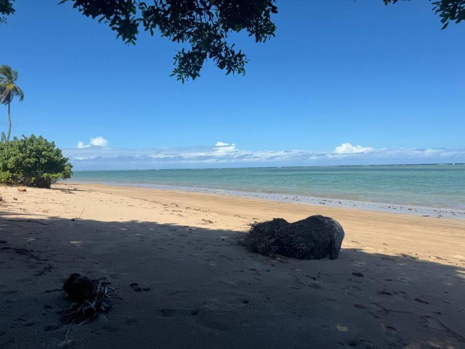 Praia do Patacho - Rota Ecológica de São Miguel dos Milagres