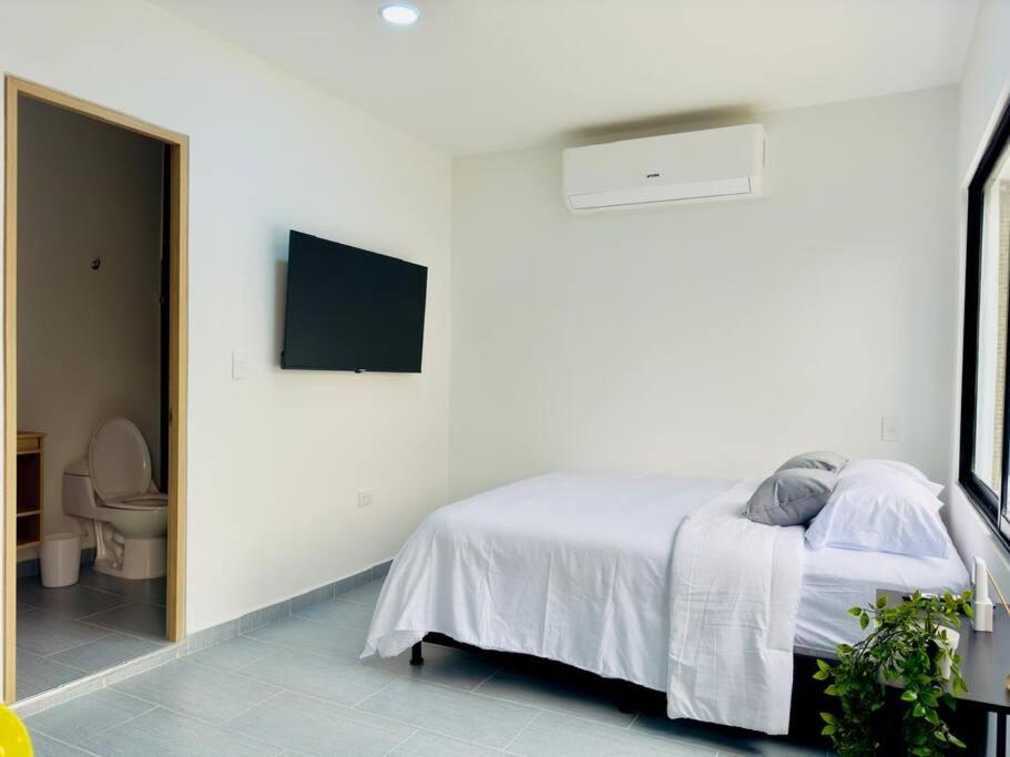 Nice and Very Comfortable Apt in Bolivariana AC