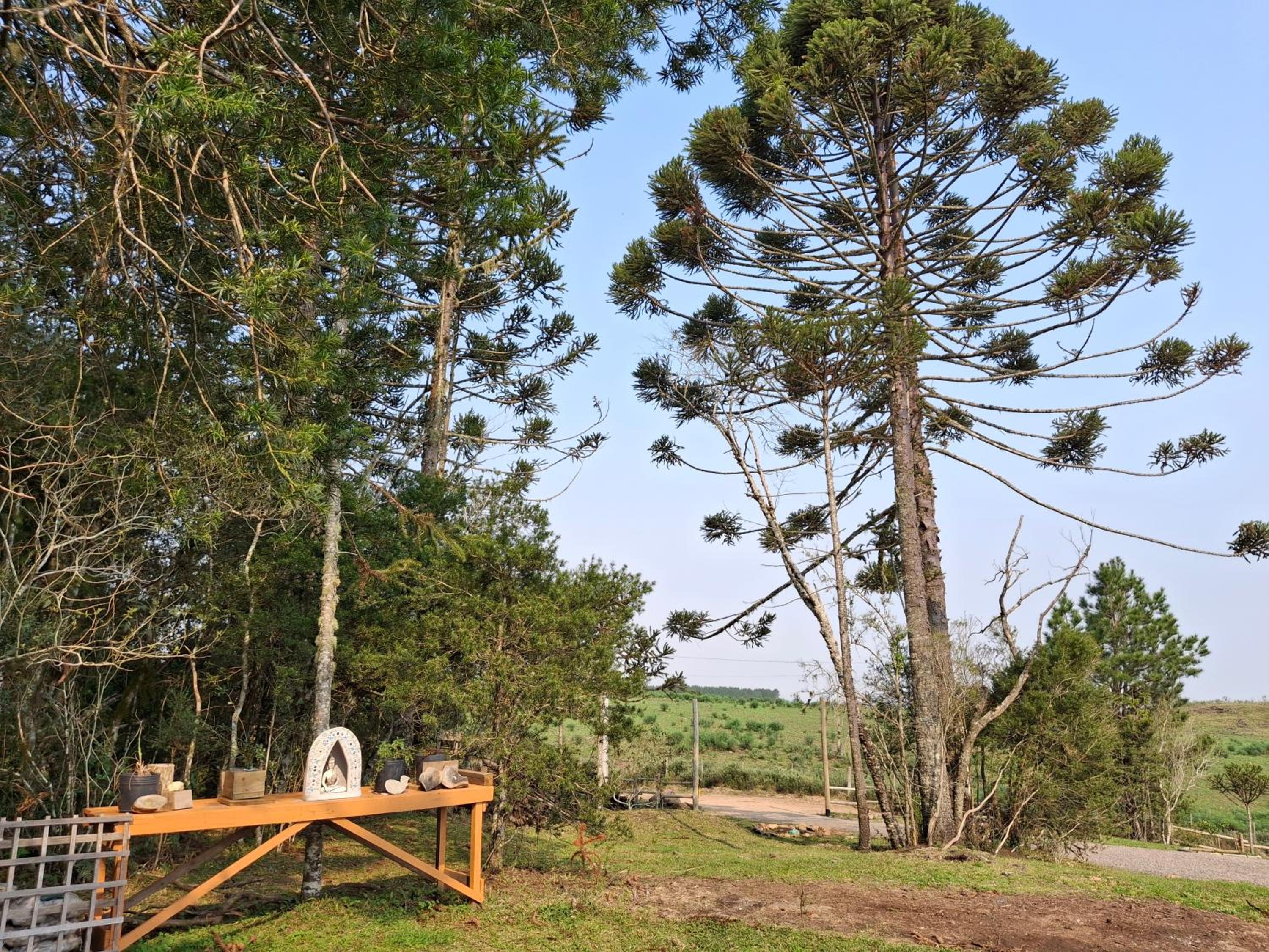 Casa Celeiro Flores no Pampa-RS