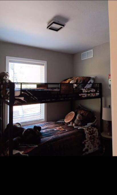 The Bears Den at the Lake view 5