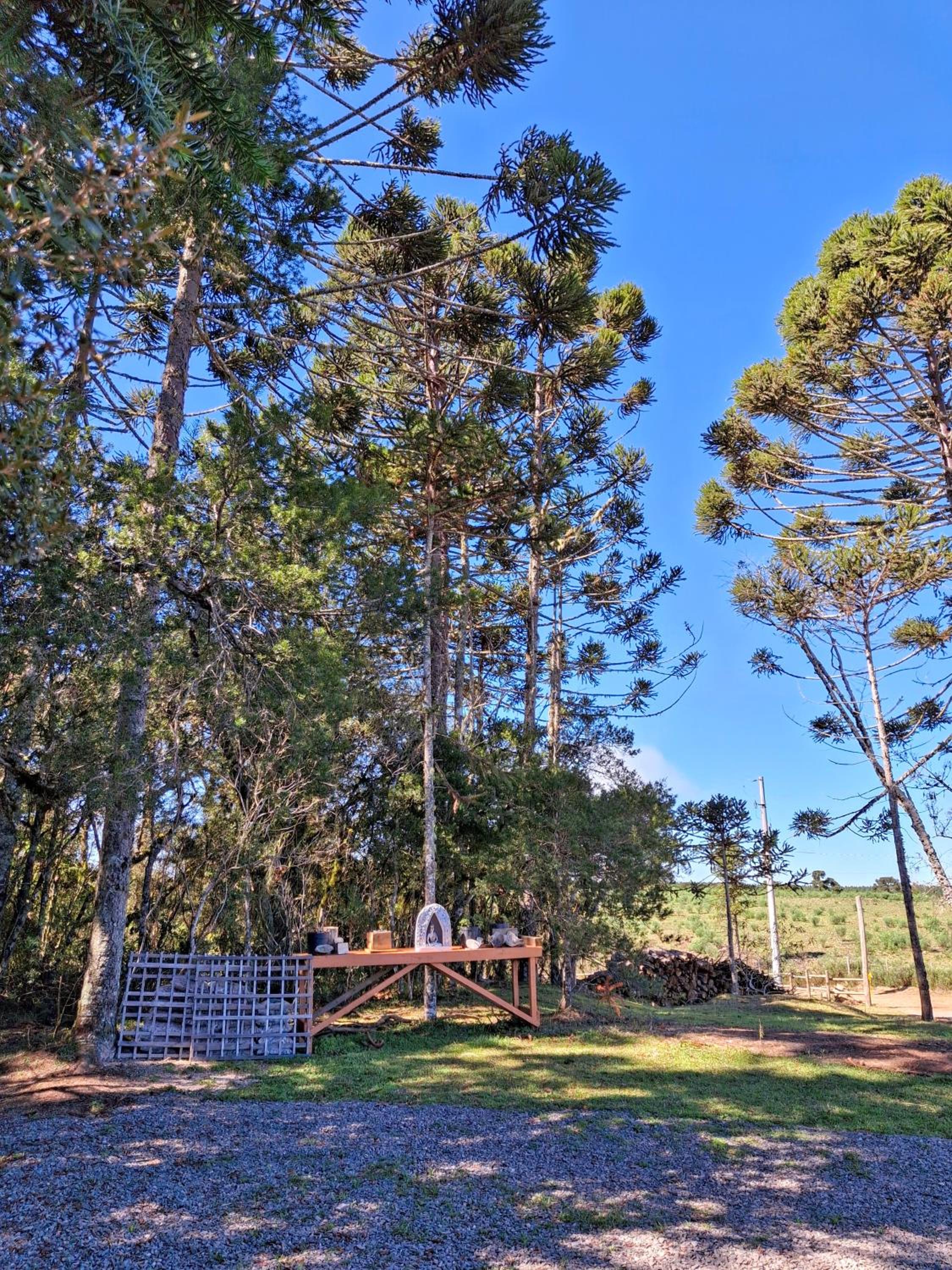 Casa Celeiro Flores no Pampa-RS