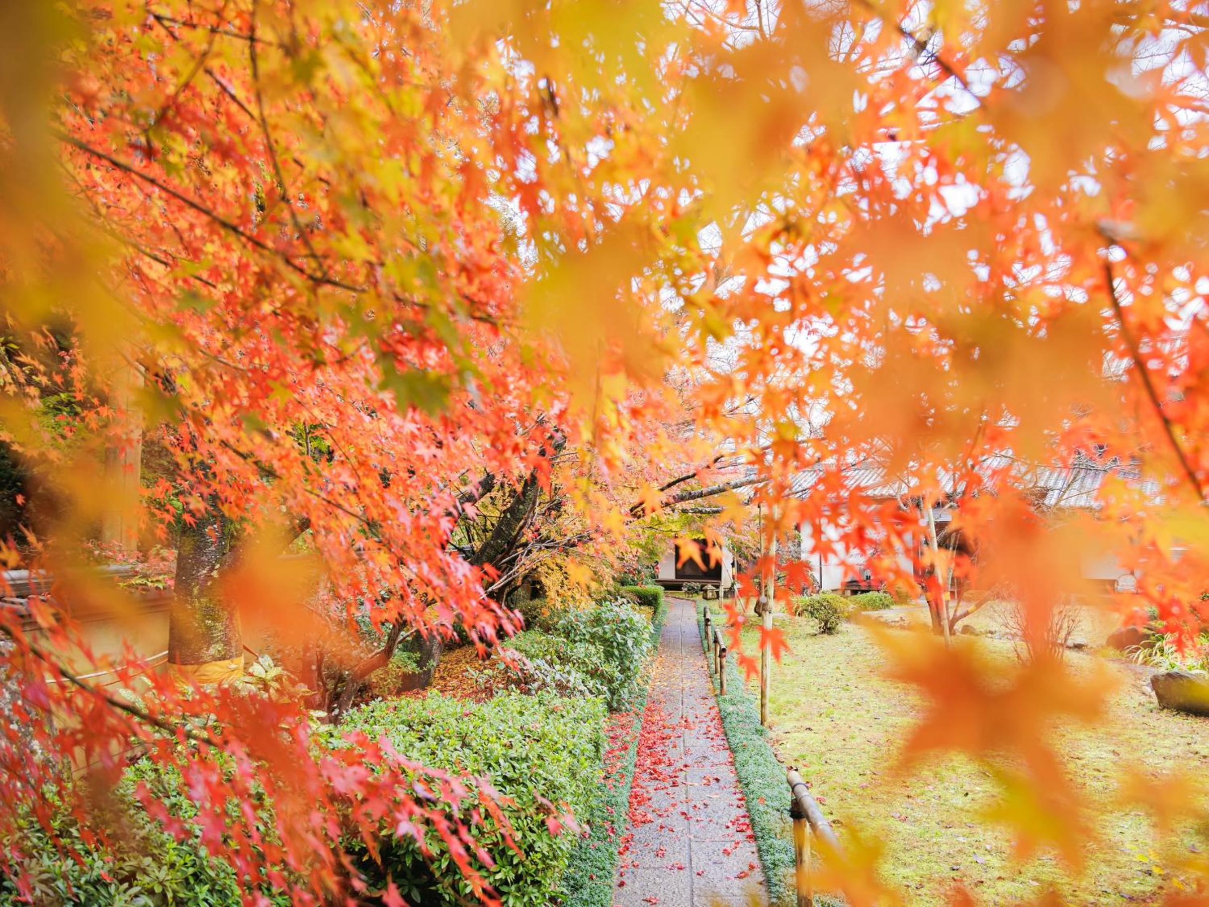 other