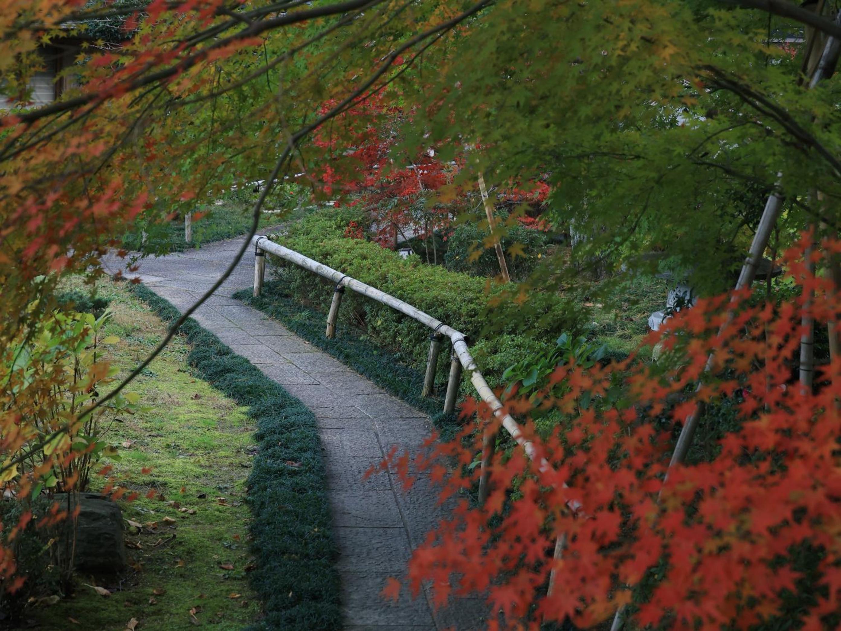Oukai Villa Izumi view 5