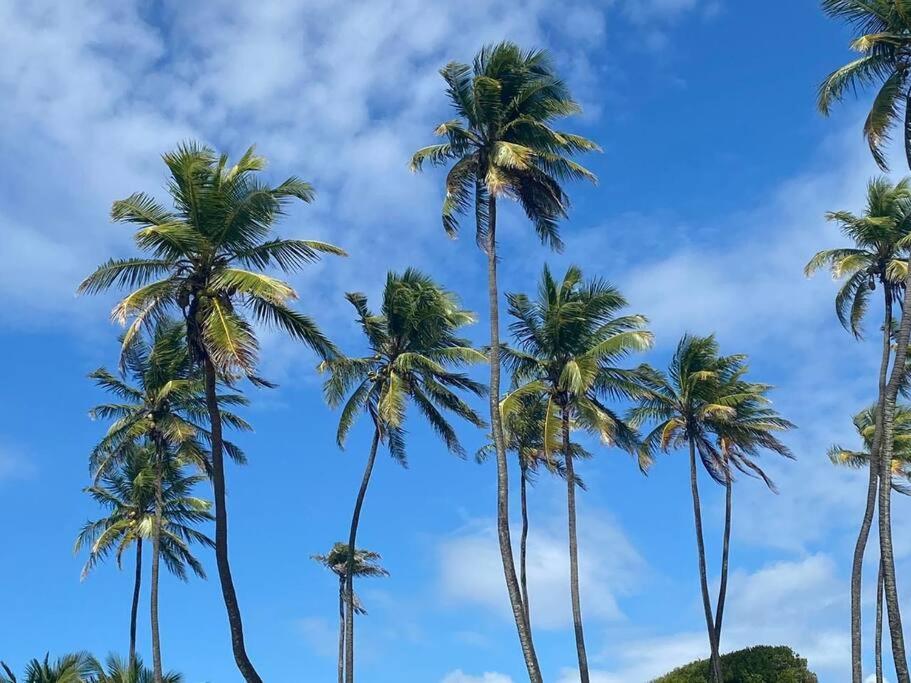 Casa de praia deslumbrante em Massarandupió