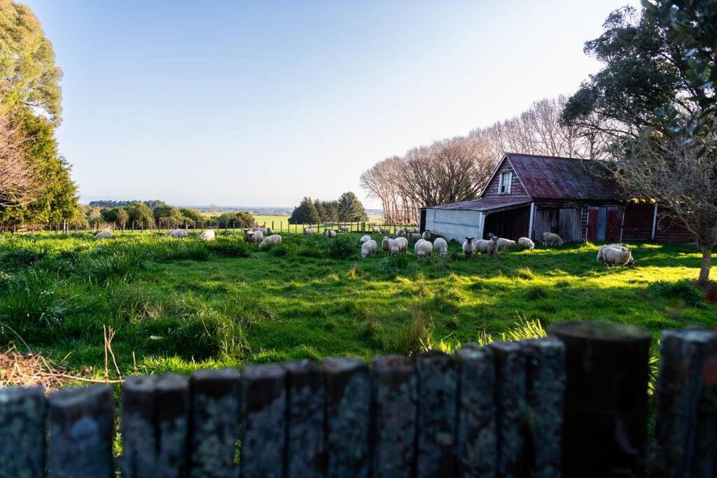 Romney Lane Homestead