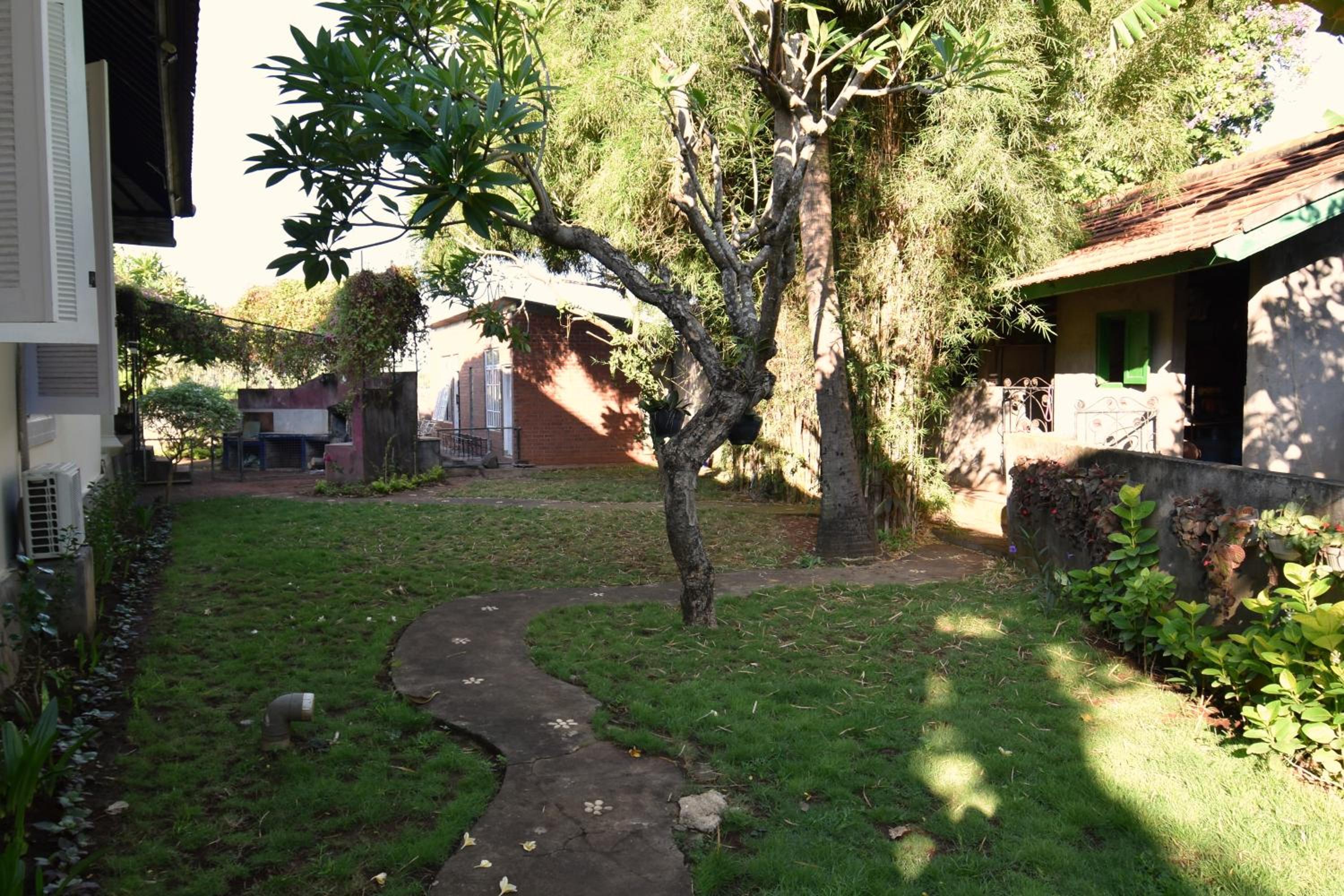 Photo 39