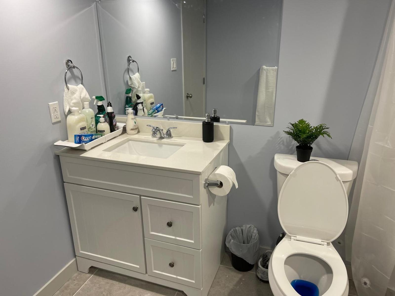 The Cozy Cove - Modern Private Basement Suite with Comfort & Charm, Free Parking, WiFi, Netflix Close to airport & 18 minutes to West Edmonton Mall
