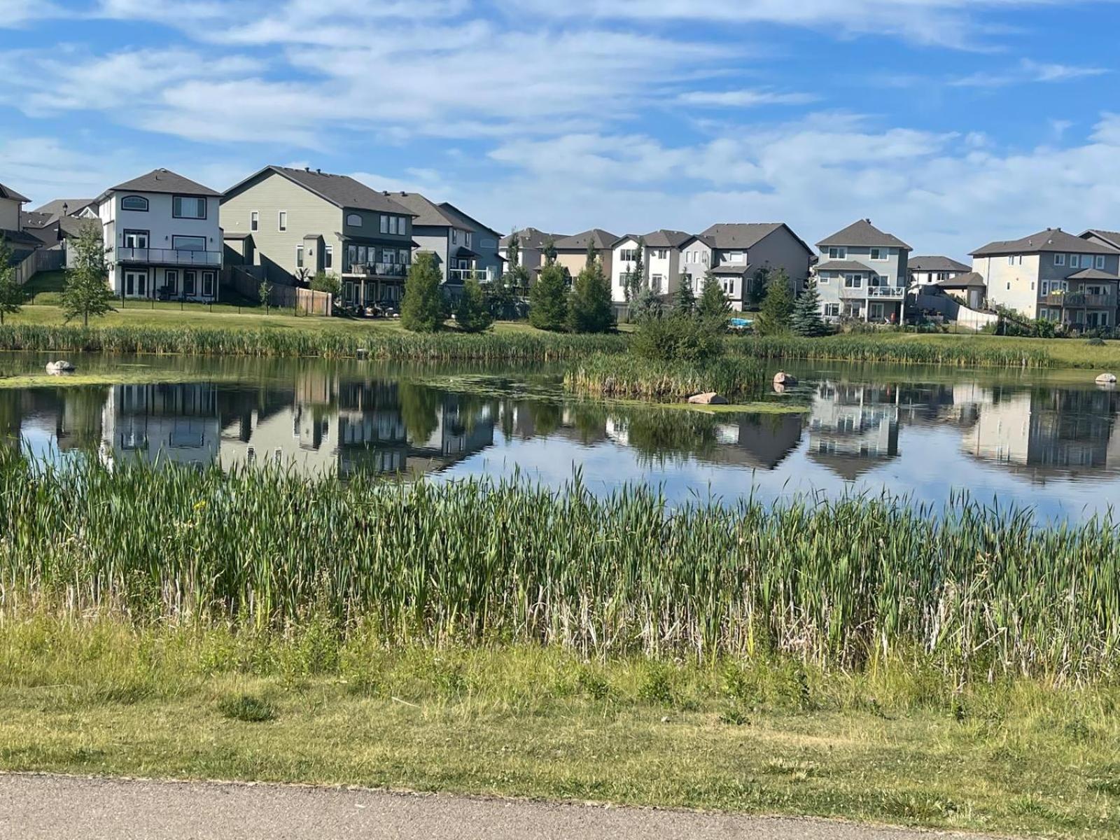 The Cozy Cove - Modern Private Basement Suite with Comfort & Charm, Free Parking, WiFi, Netflix Close to airport & 18 minutes to West Edmonton Mall
