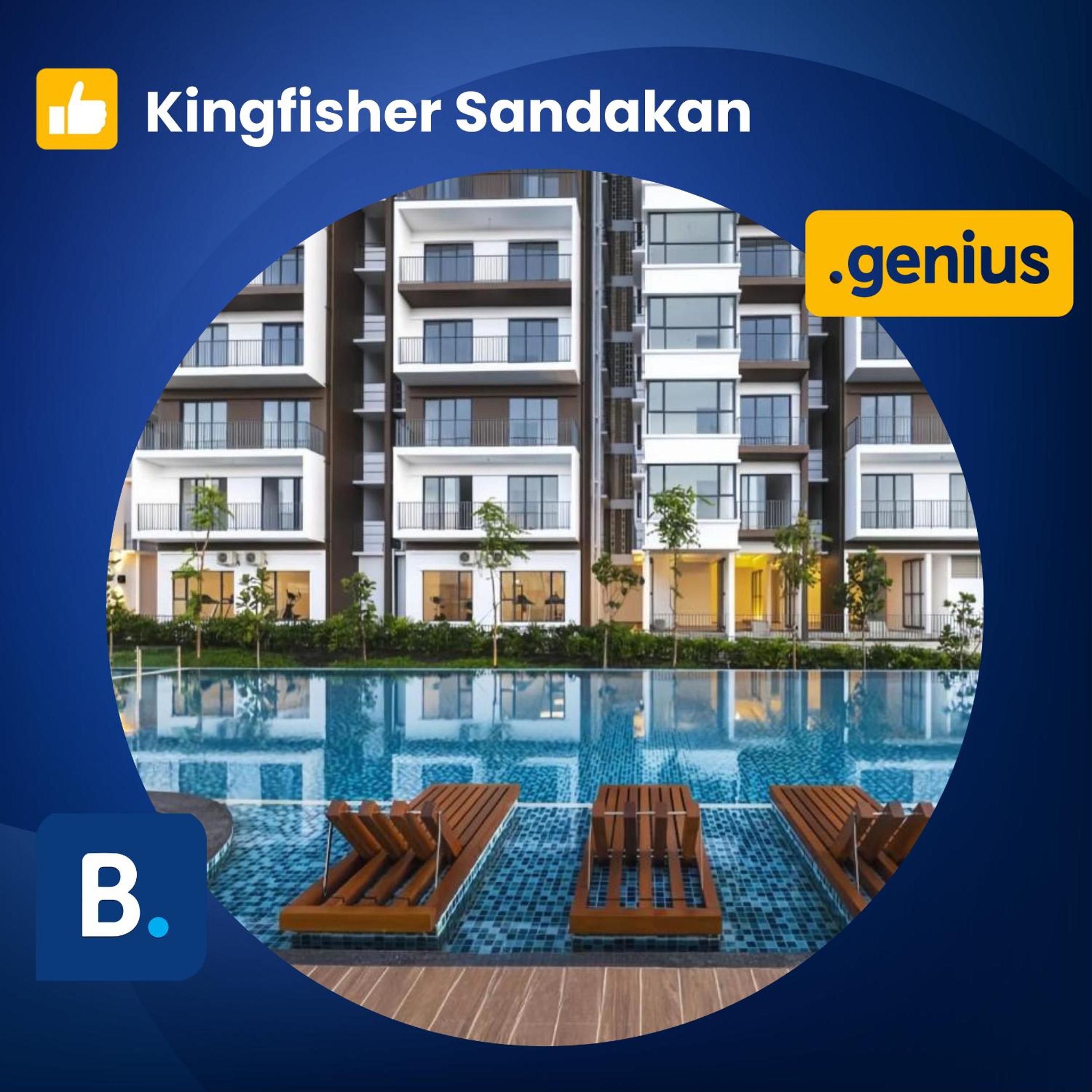 Kingfisher Sandakan