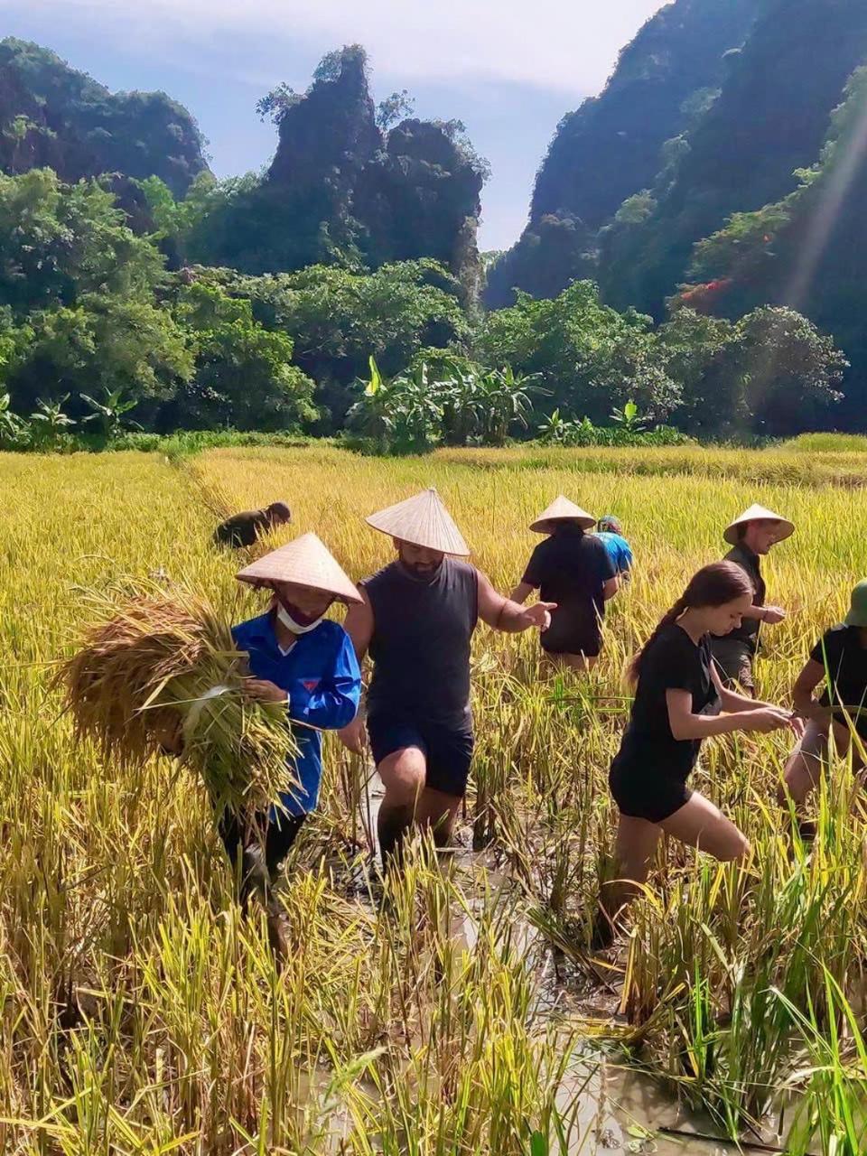 Viet Anh Homestay view 3
