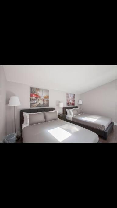 Cozy Condo in Downtown Montreal
