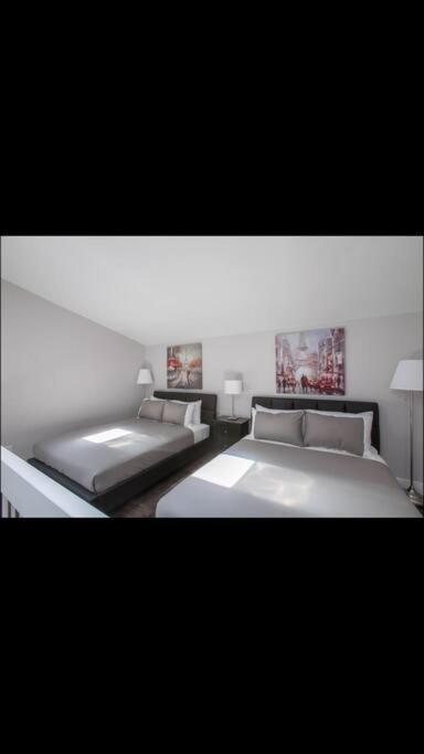 Cozy Condo in Downtown Montreal