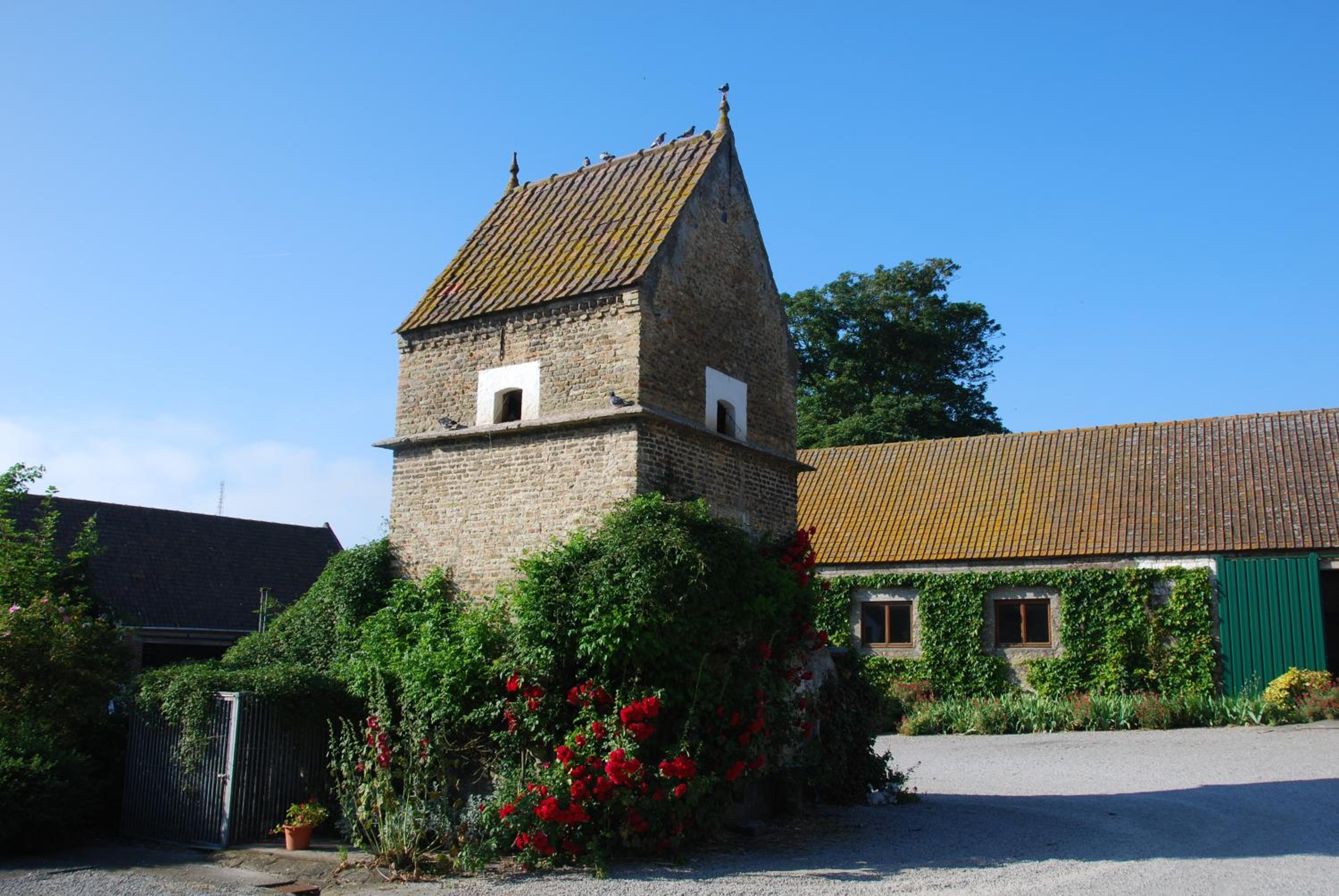 Photo 10