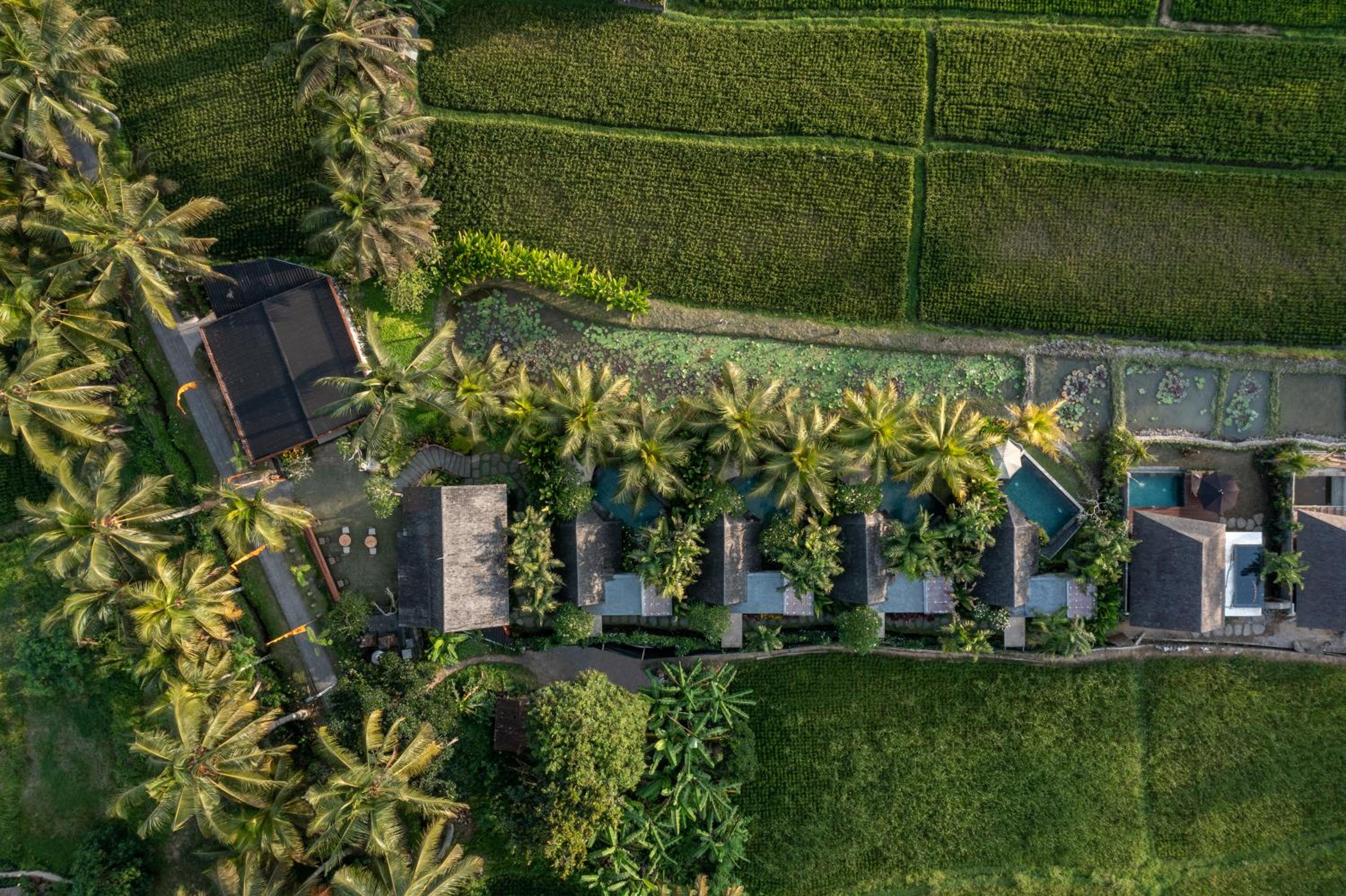 Hotel Lasamana Villas Ubud by Pramana Villas - Image 1