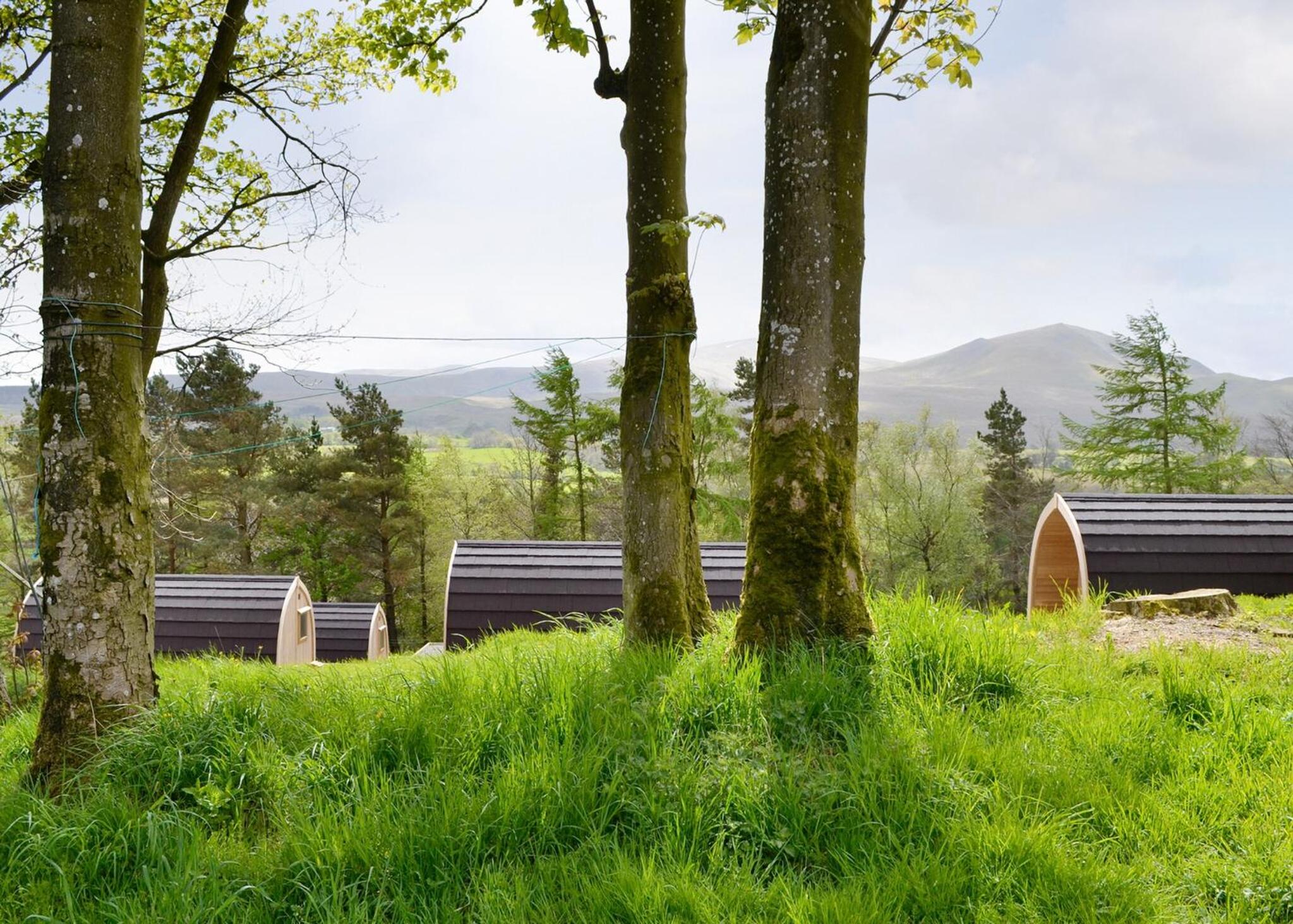 Lowside Farm Glamping