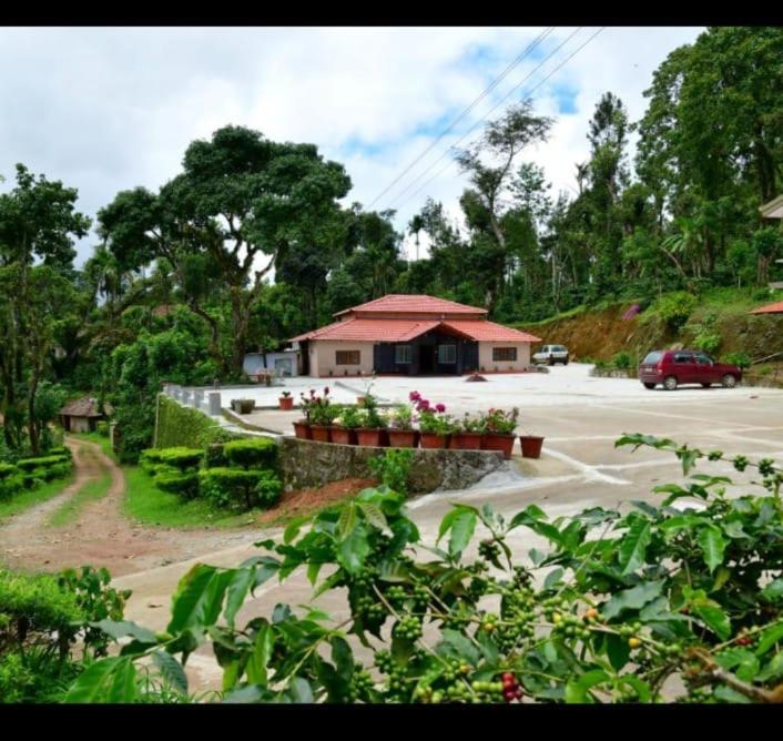 Nature hunt Home stay view 5