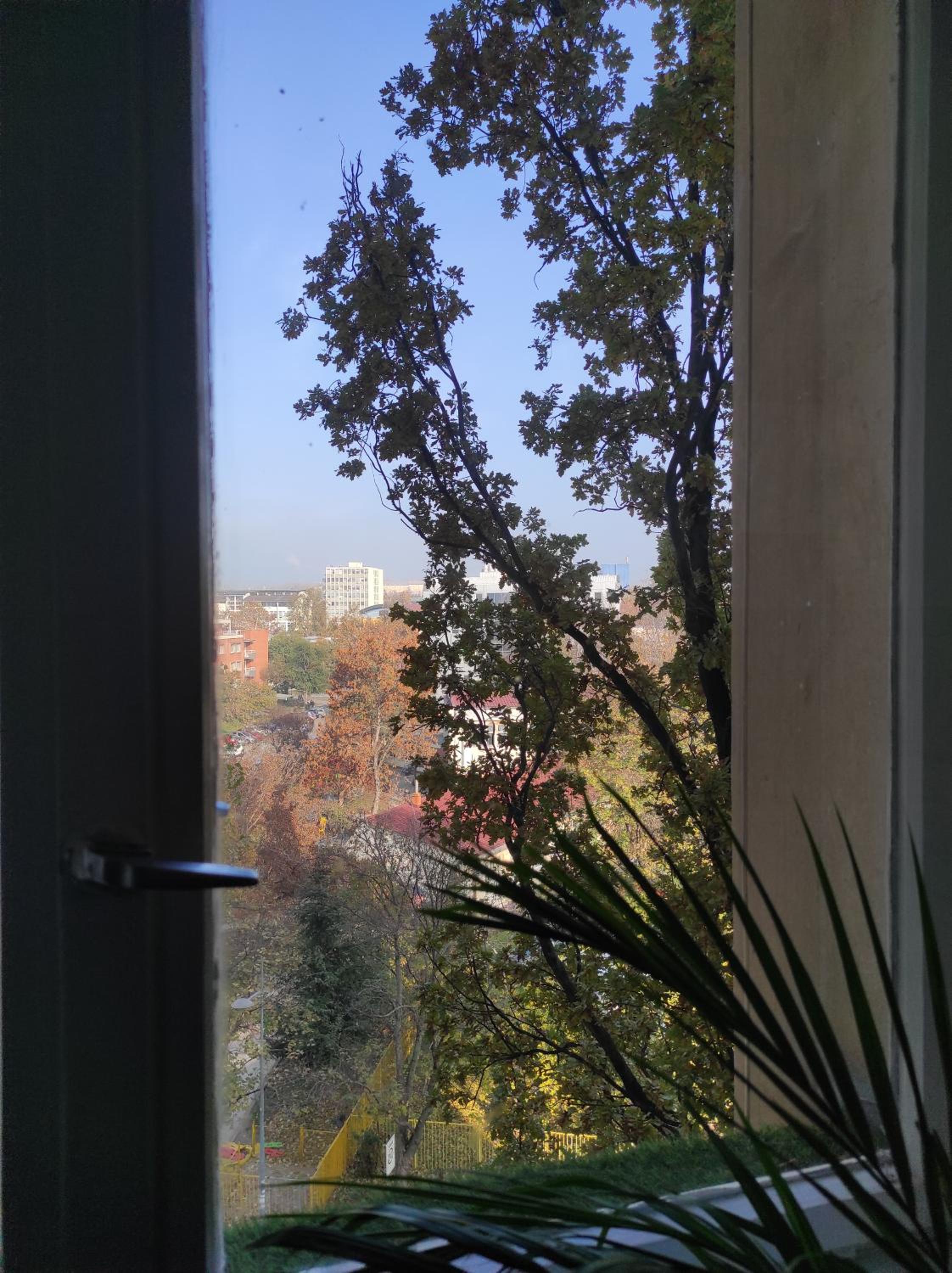 Liman1 view 4