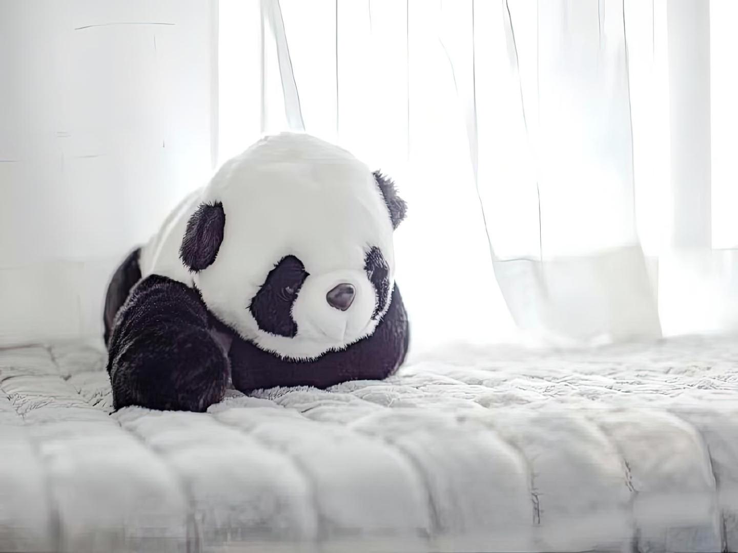 Chengdu Chenghua·Giant Panda Breeding Base Locals Apartment 00169920