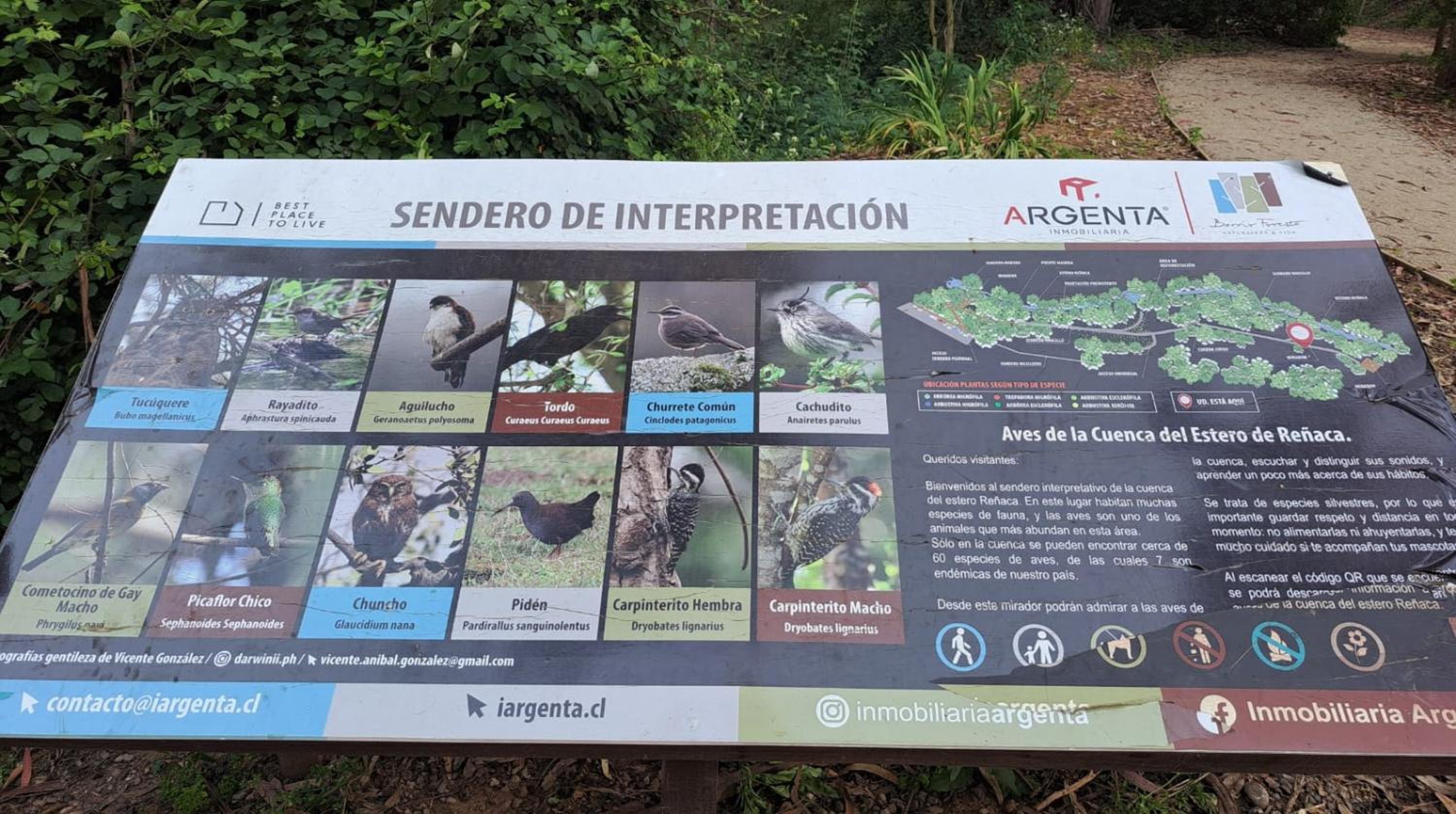 Reñaca I Nuevo I Luminoso I Circuito Trekking