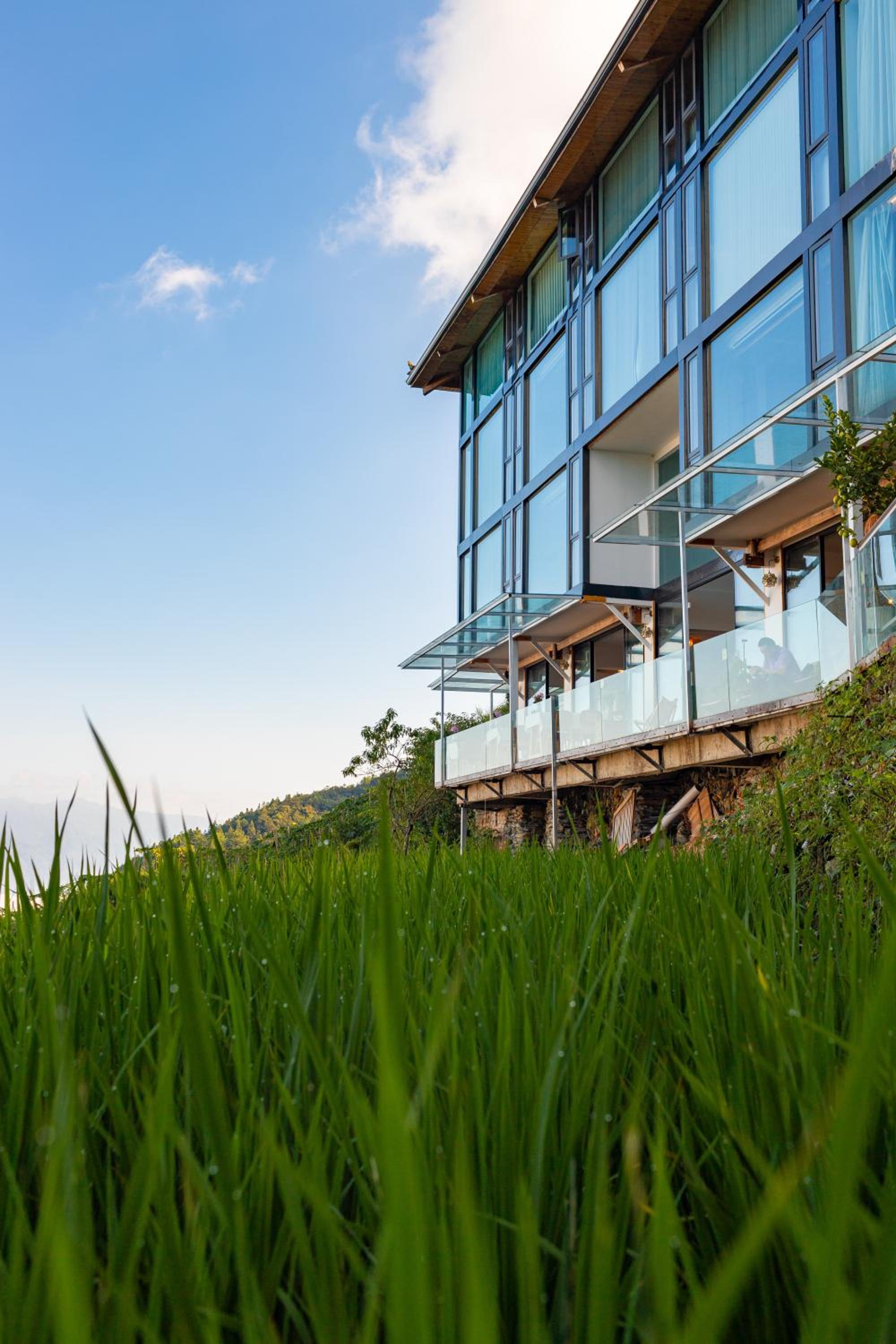 Rice View Lodge