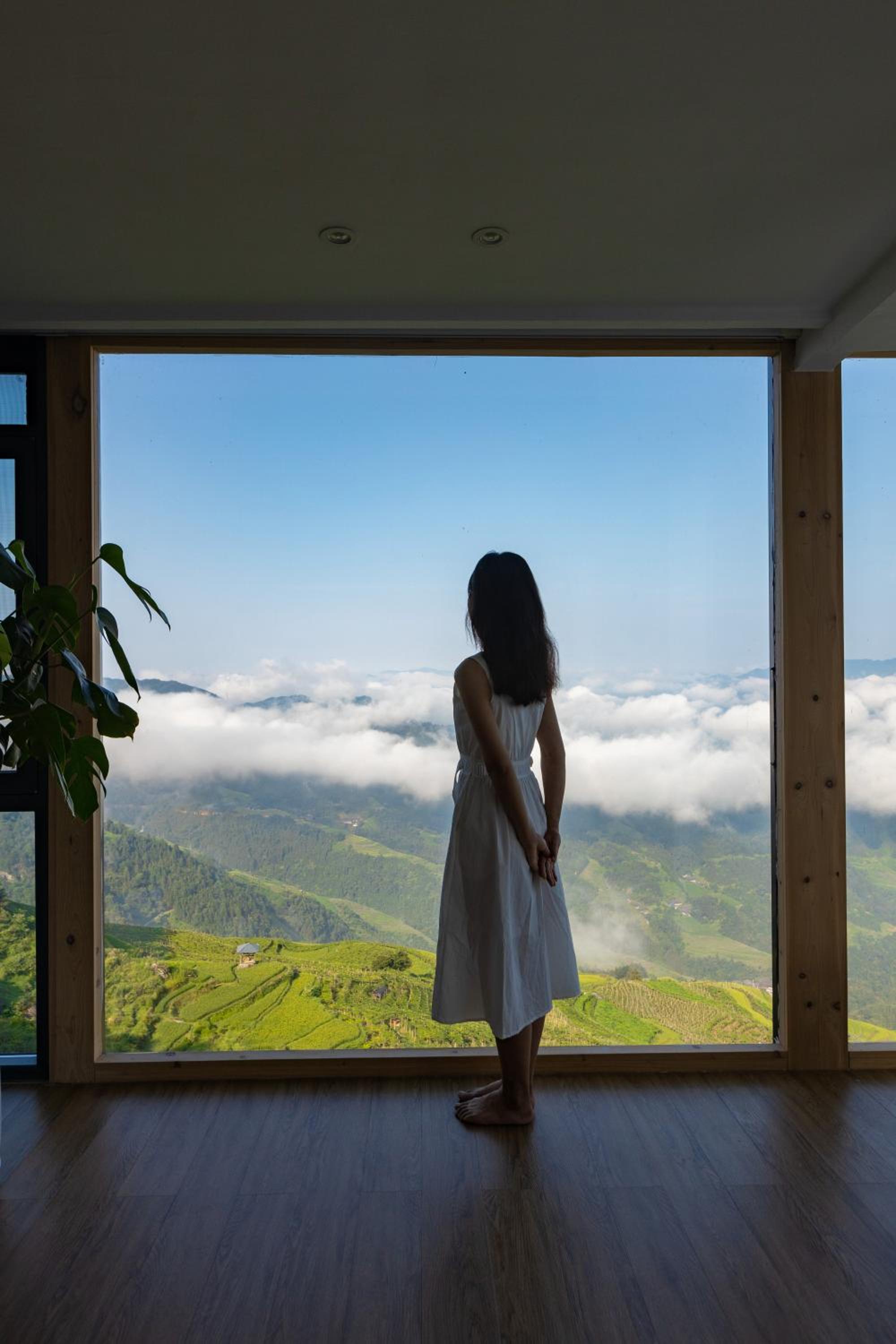 Rice View Lodge