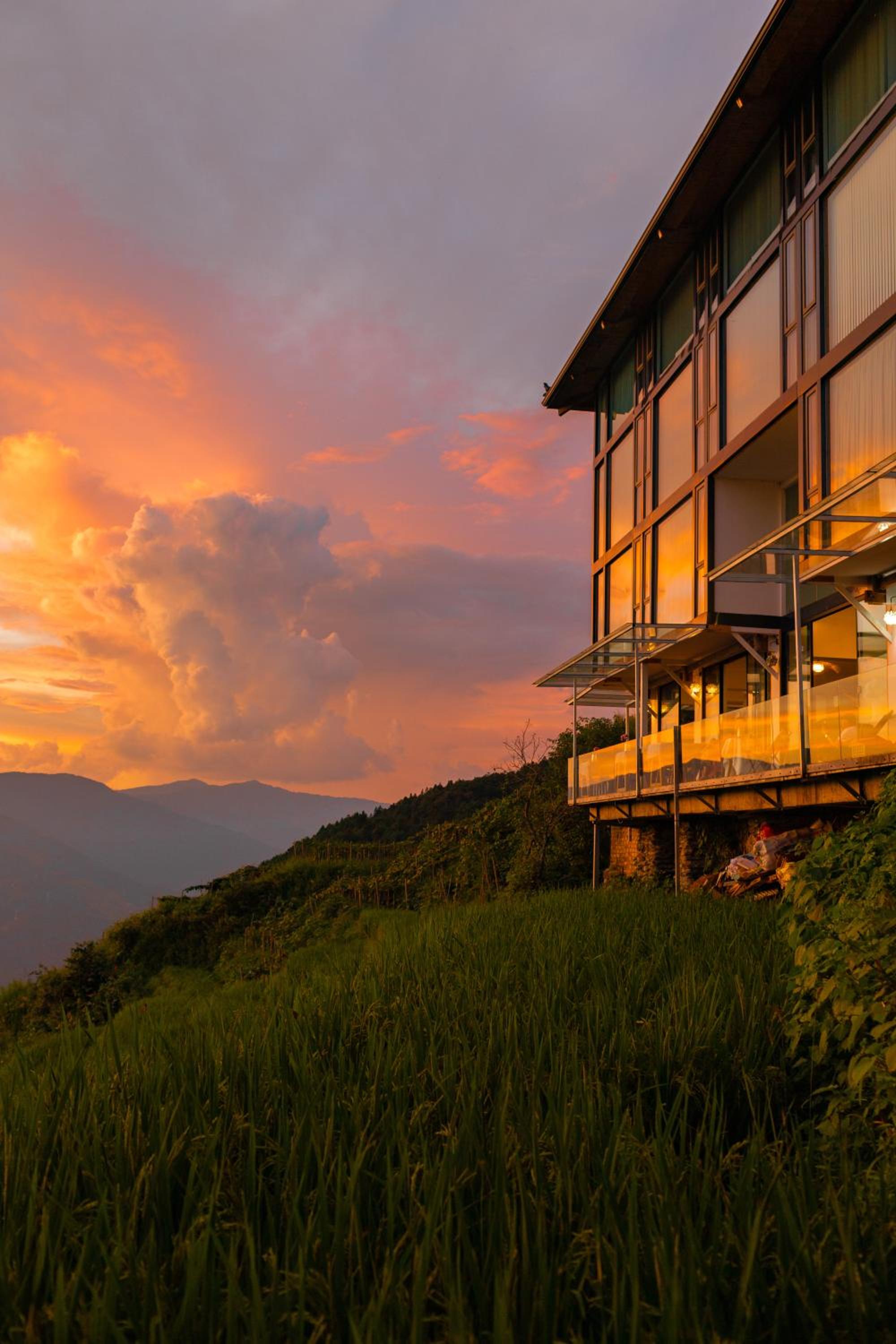 Rice View Lodge
