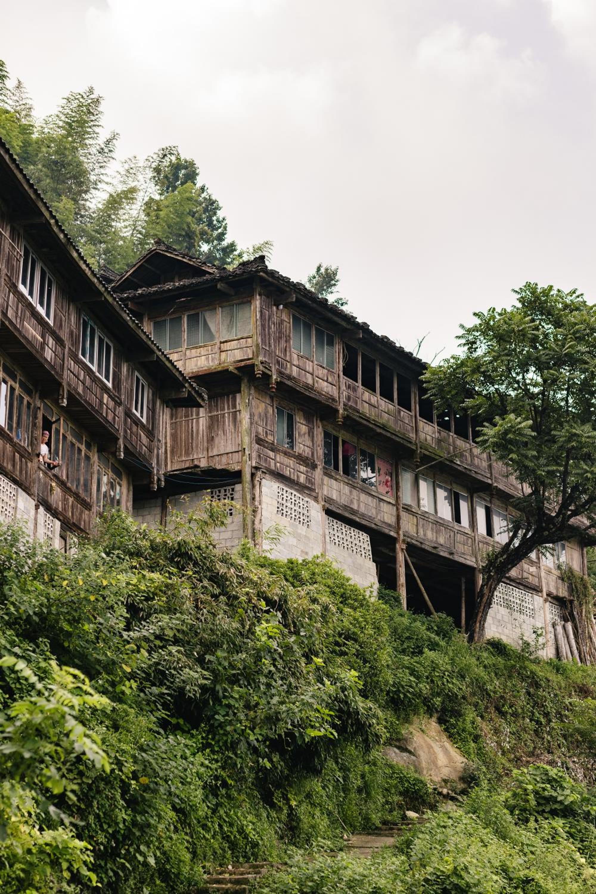 Rice View Lodge
