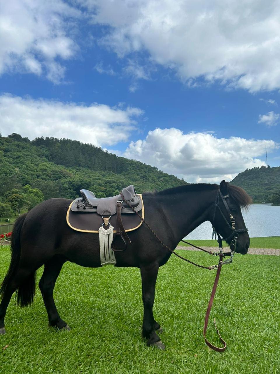 Lagoa da Harmonia cabanas