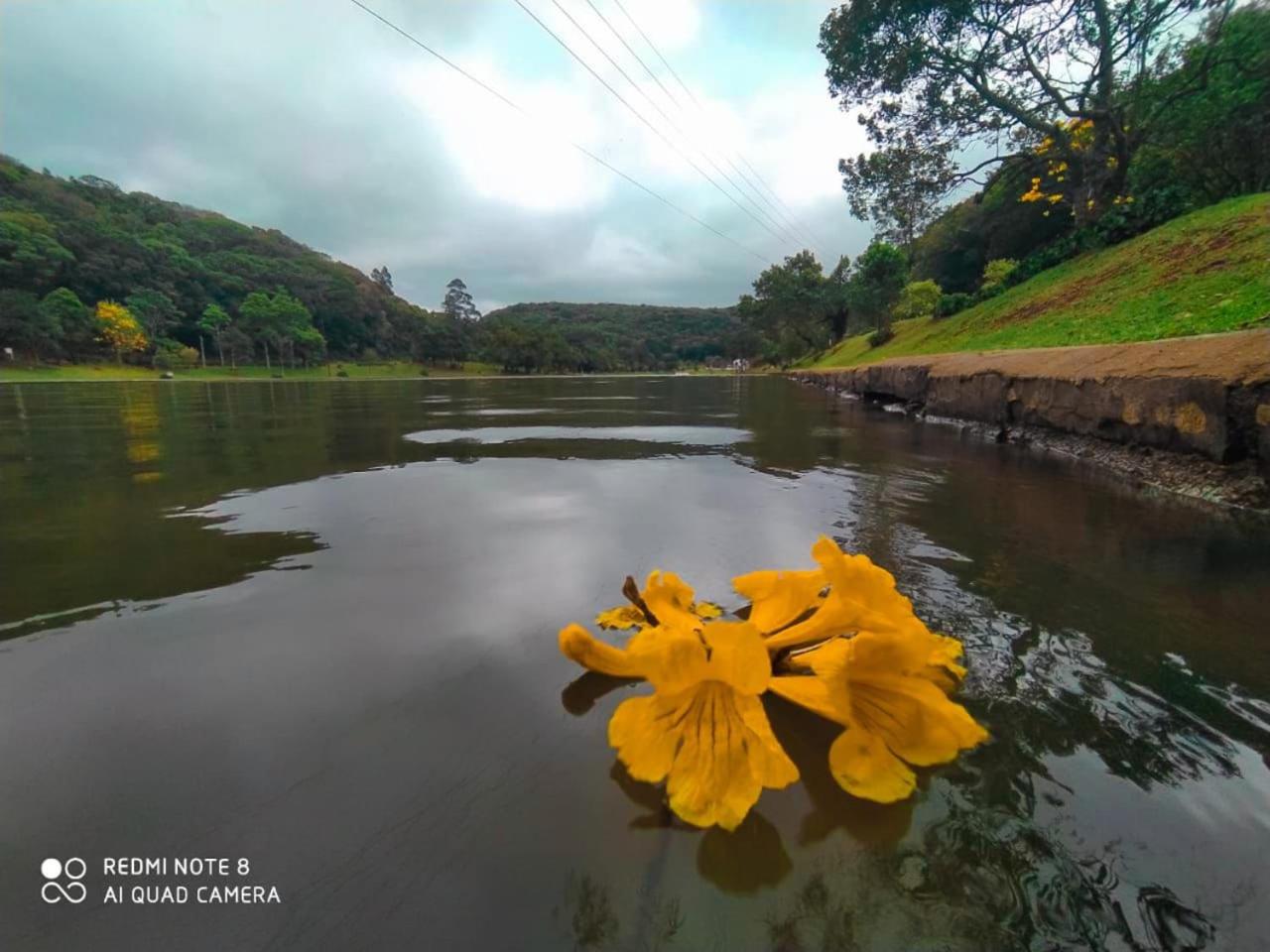 Lagoa da Harmonia cabanas