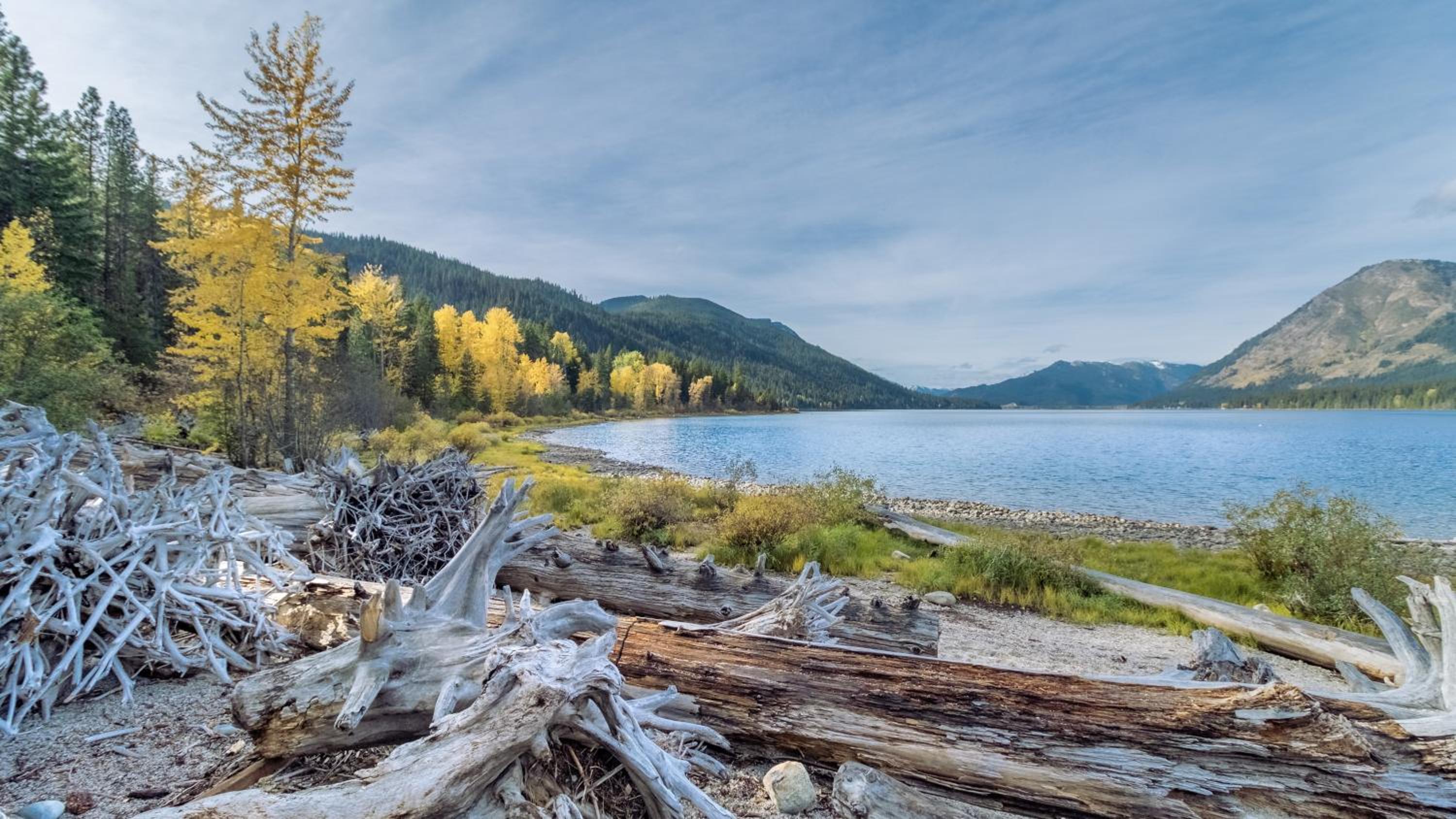 Photo 46