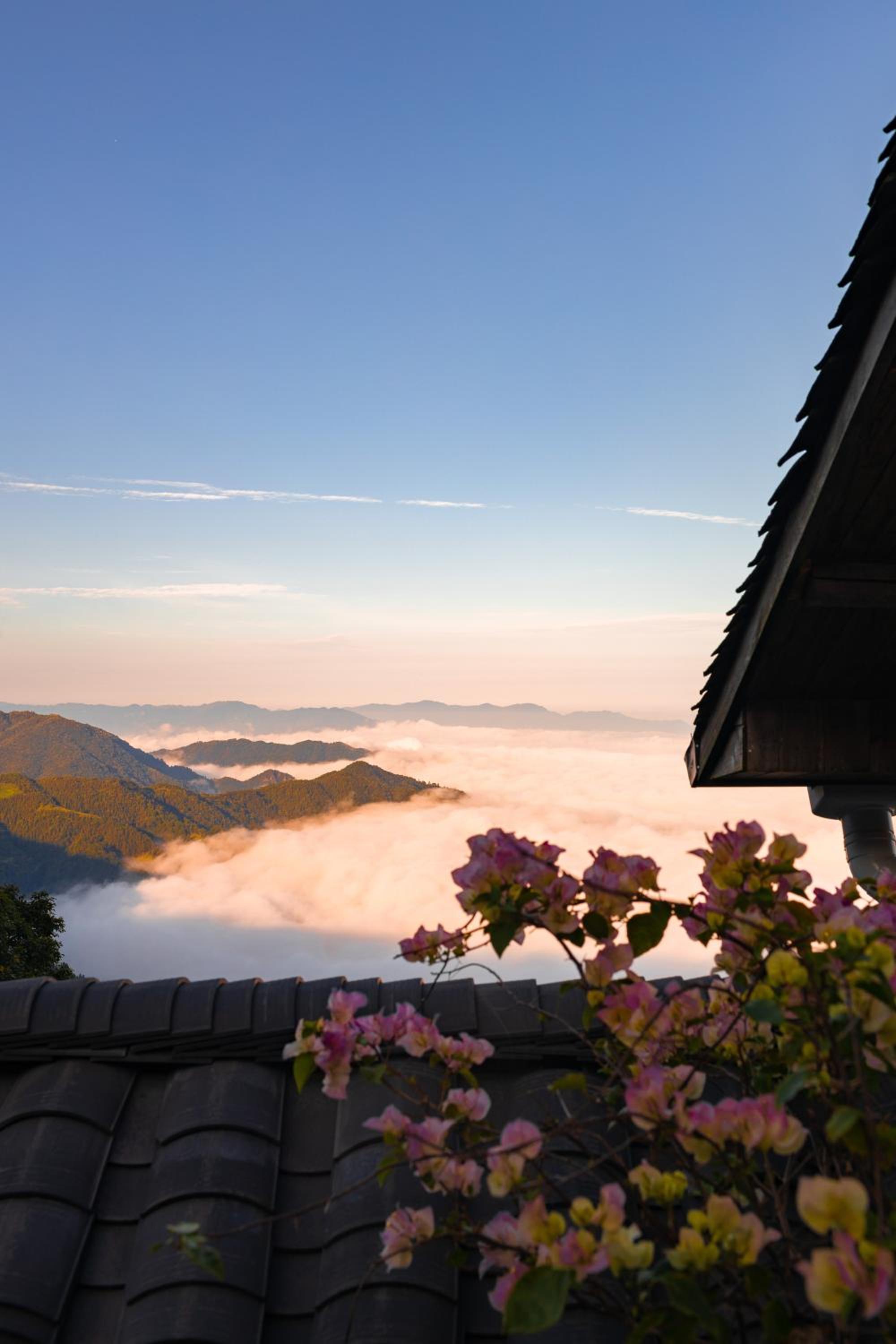 Rice View Lodge
