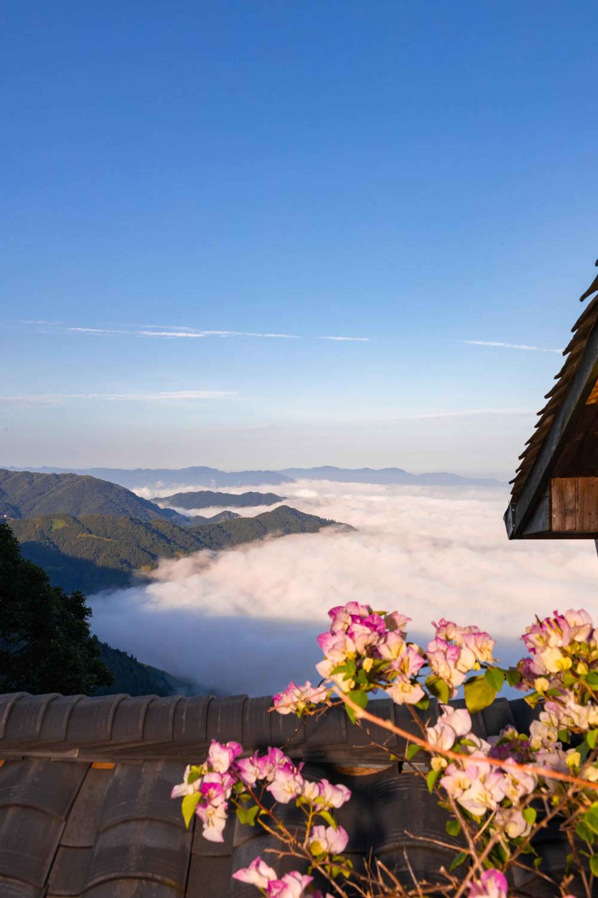 Rice View Lodge