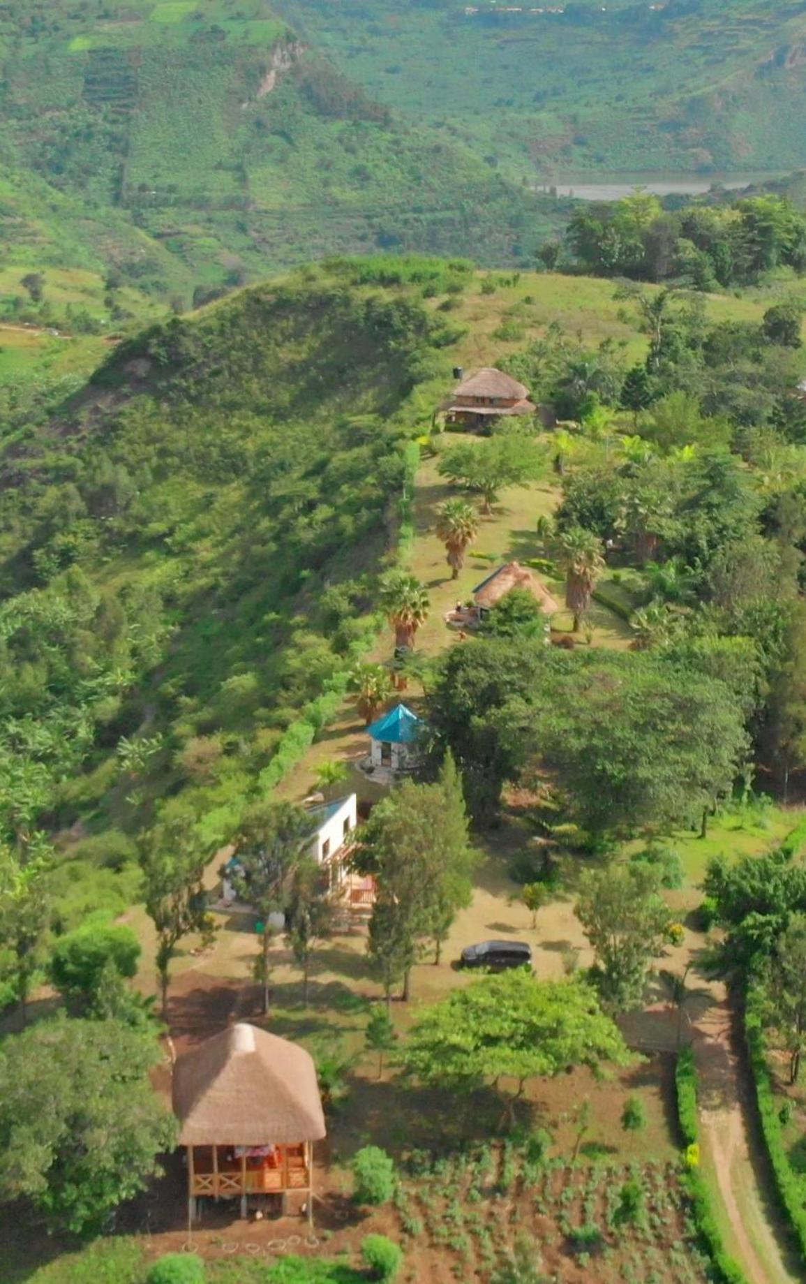 Queen Elizabeth Gorge Cottages