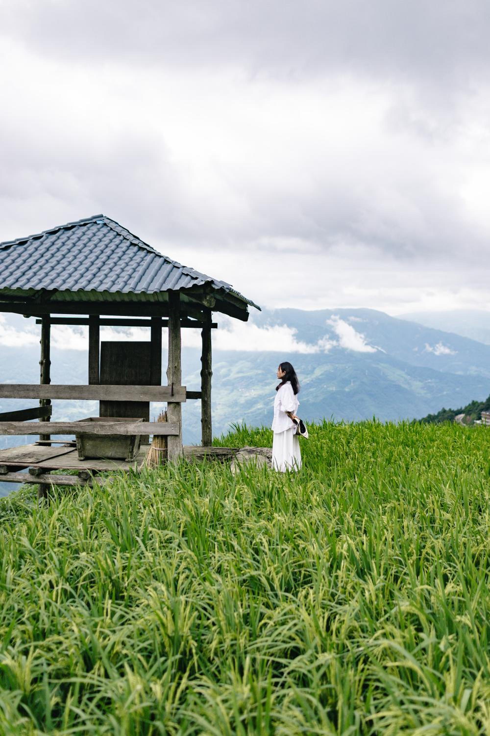 Rice View Lodge