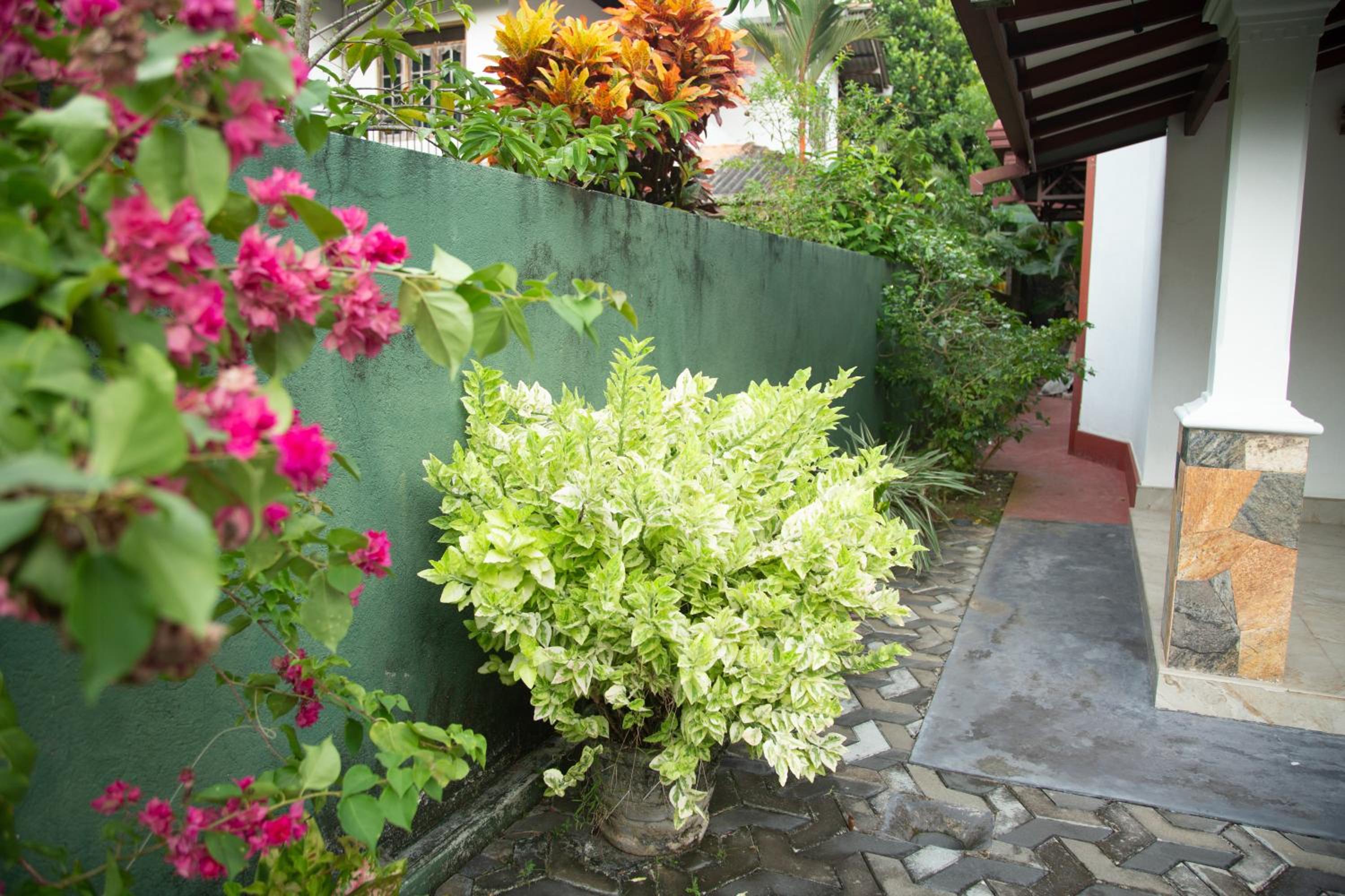 Mandhakini Villa