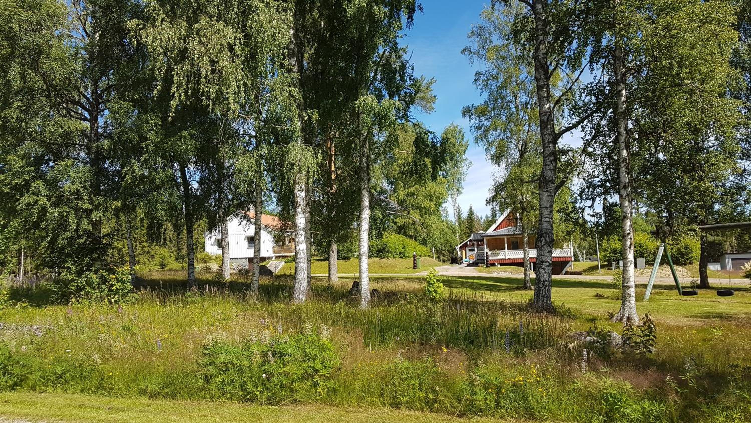 Photo 25