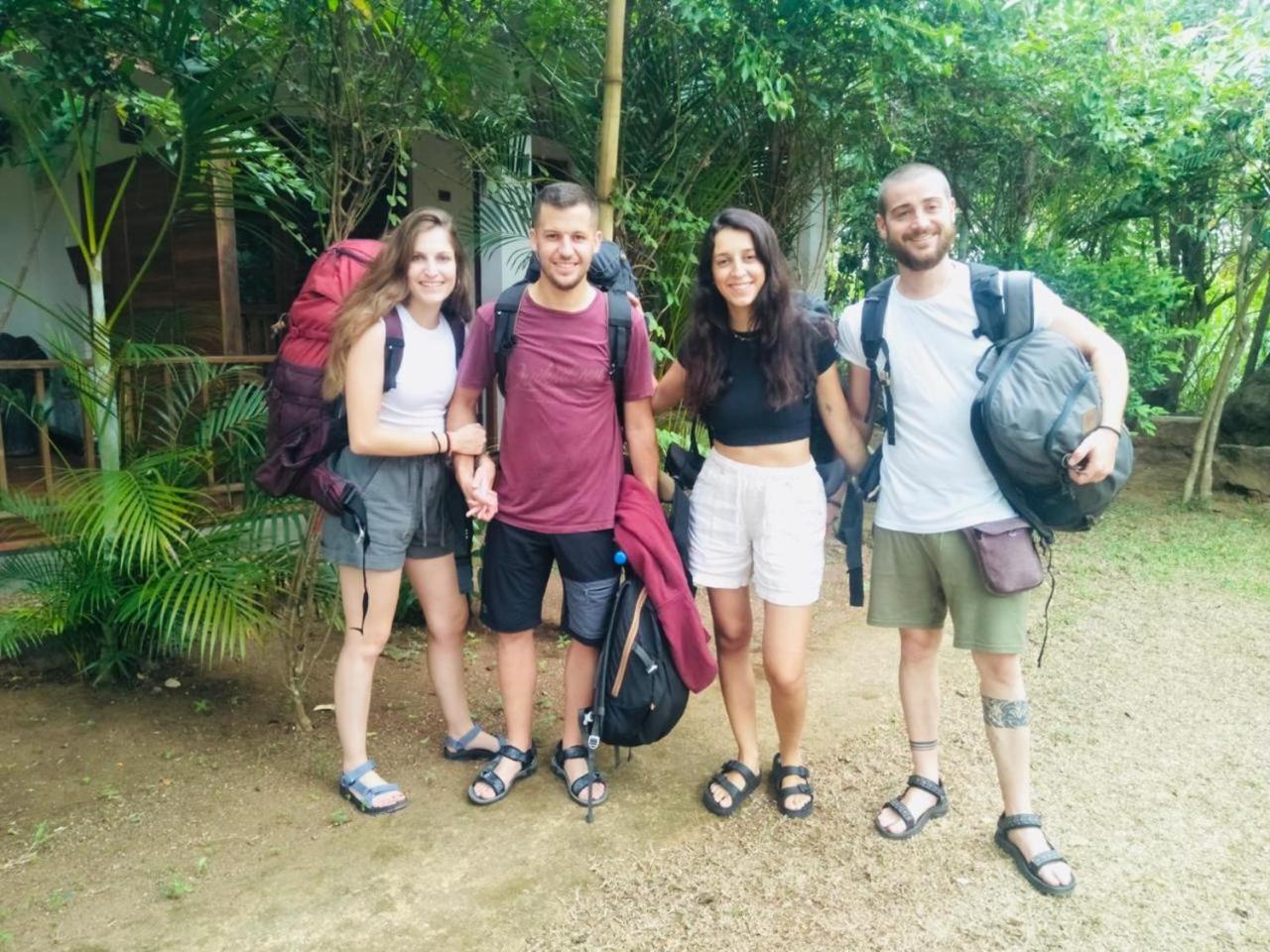 Woodholic Homestay