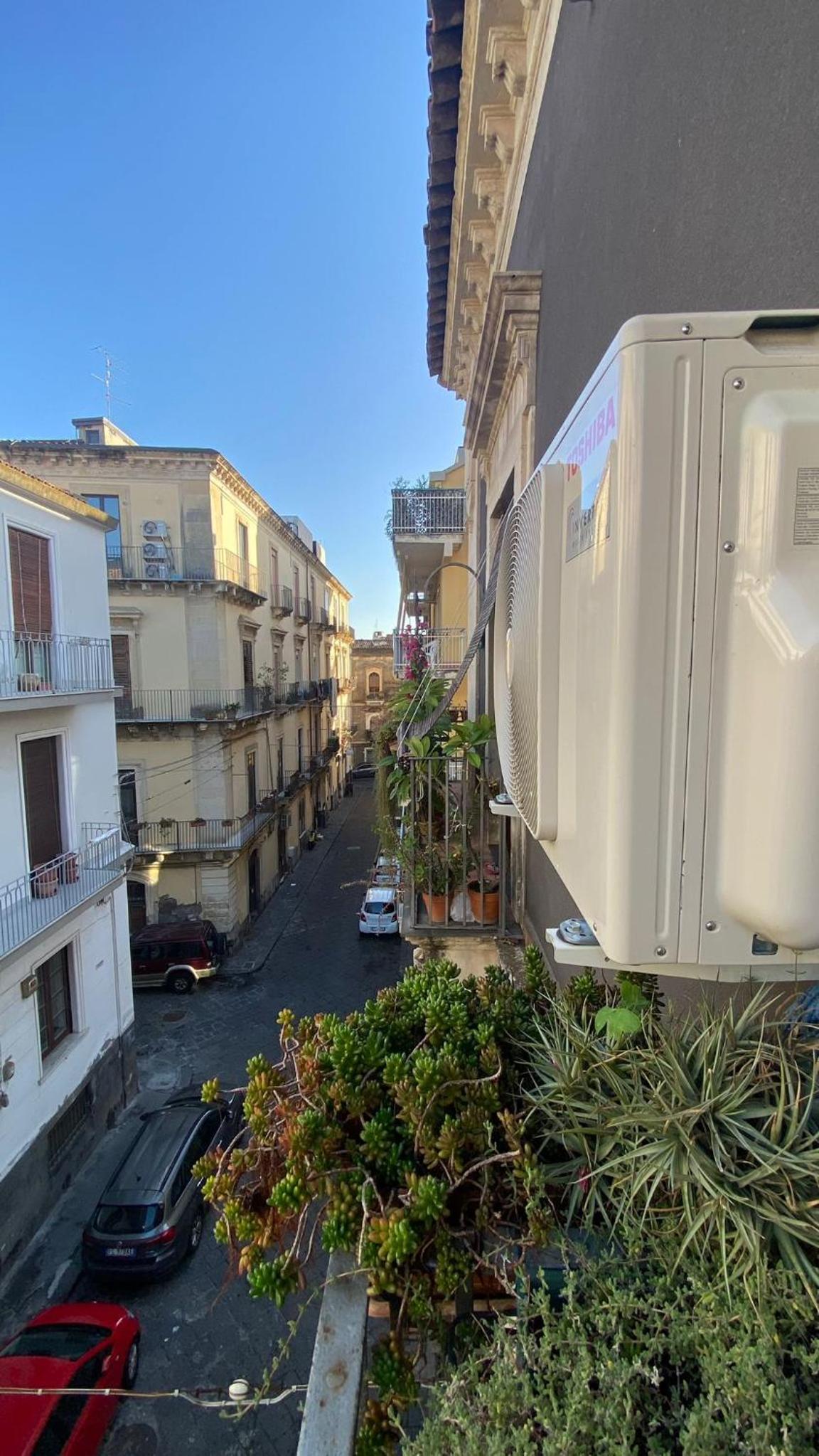 Diana's view 3