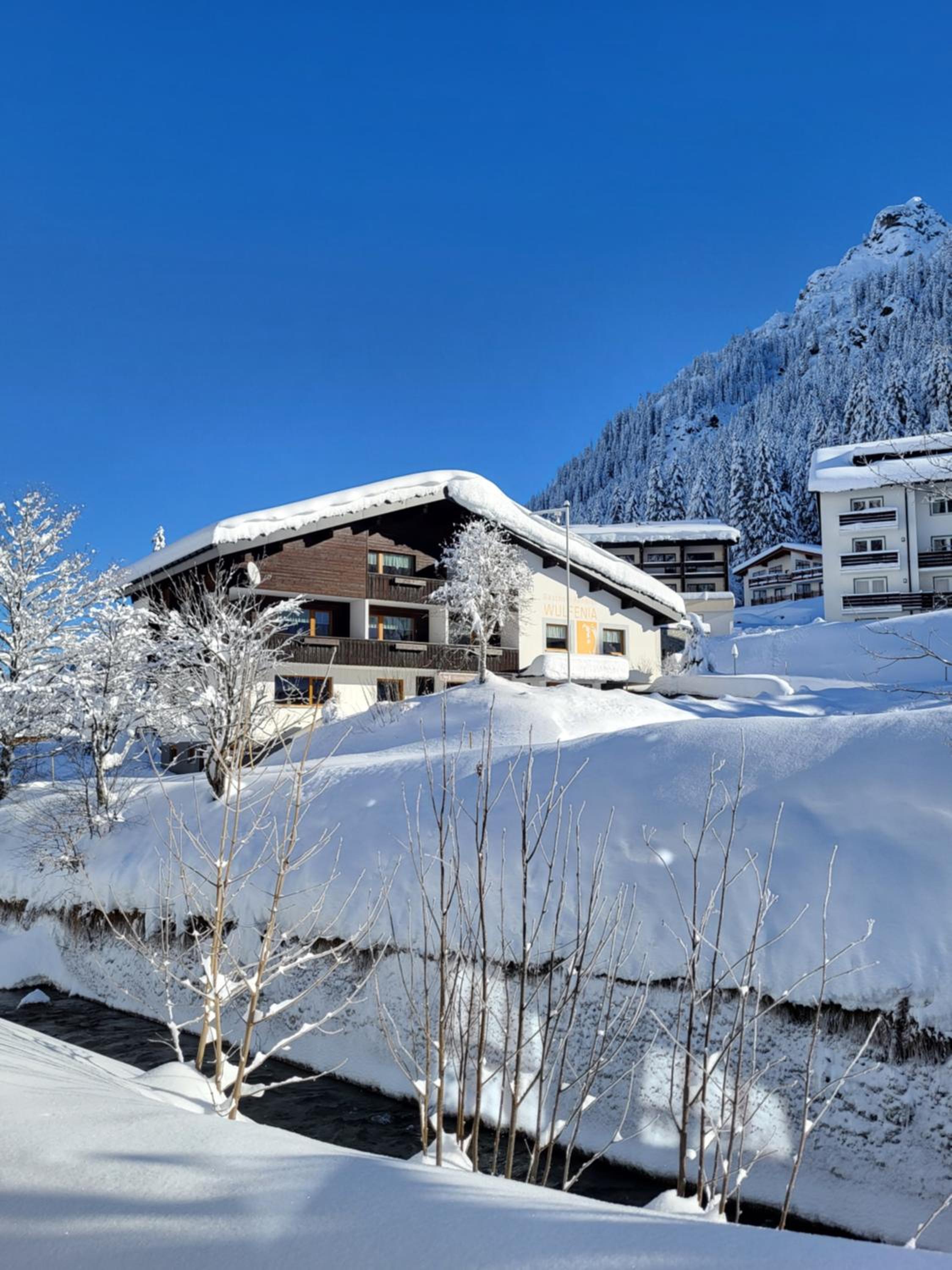 Hotel Gasthof-Pension Wulfenia - Image 1