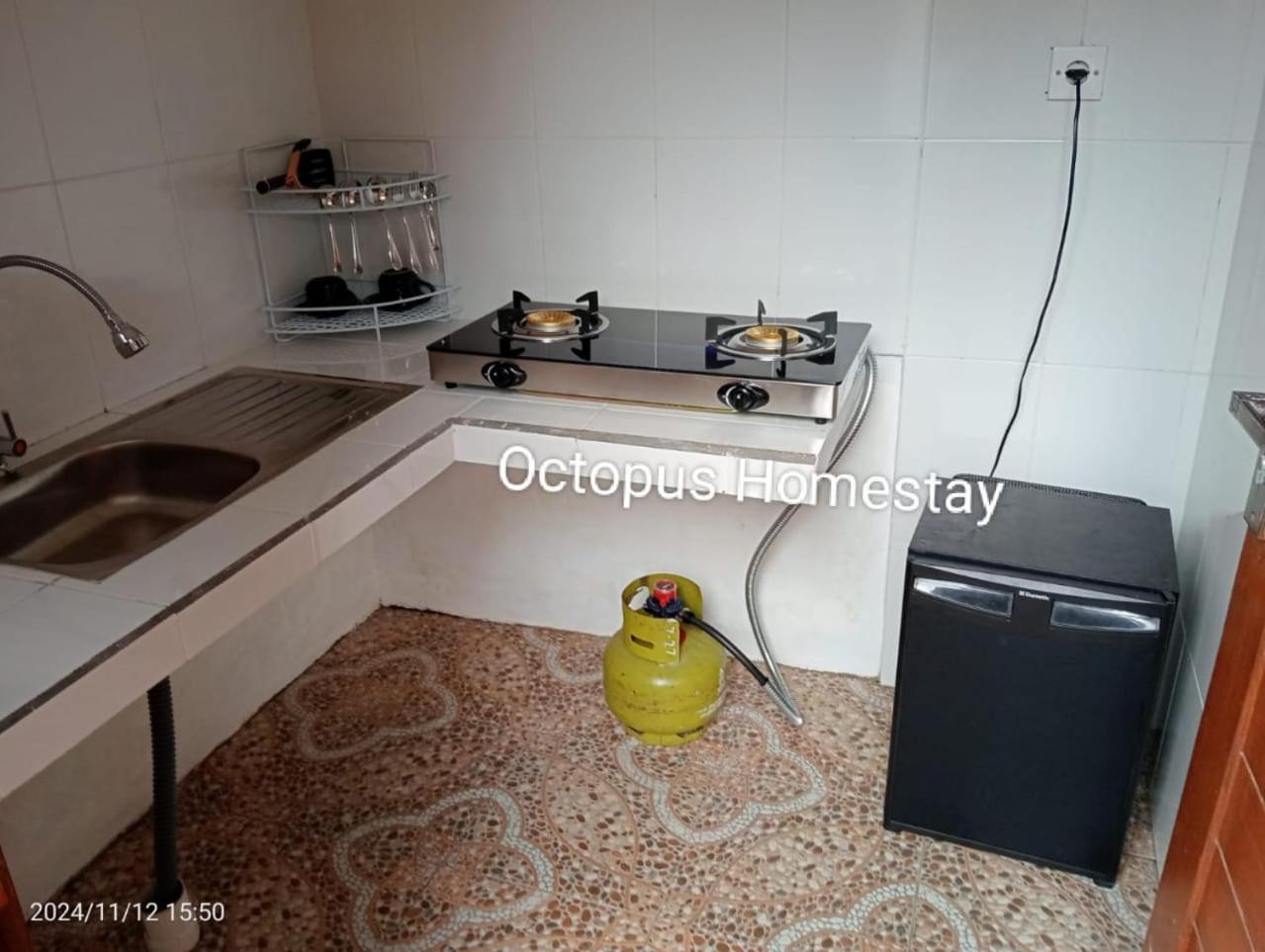 Octopus Homestay