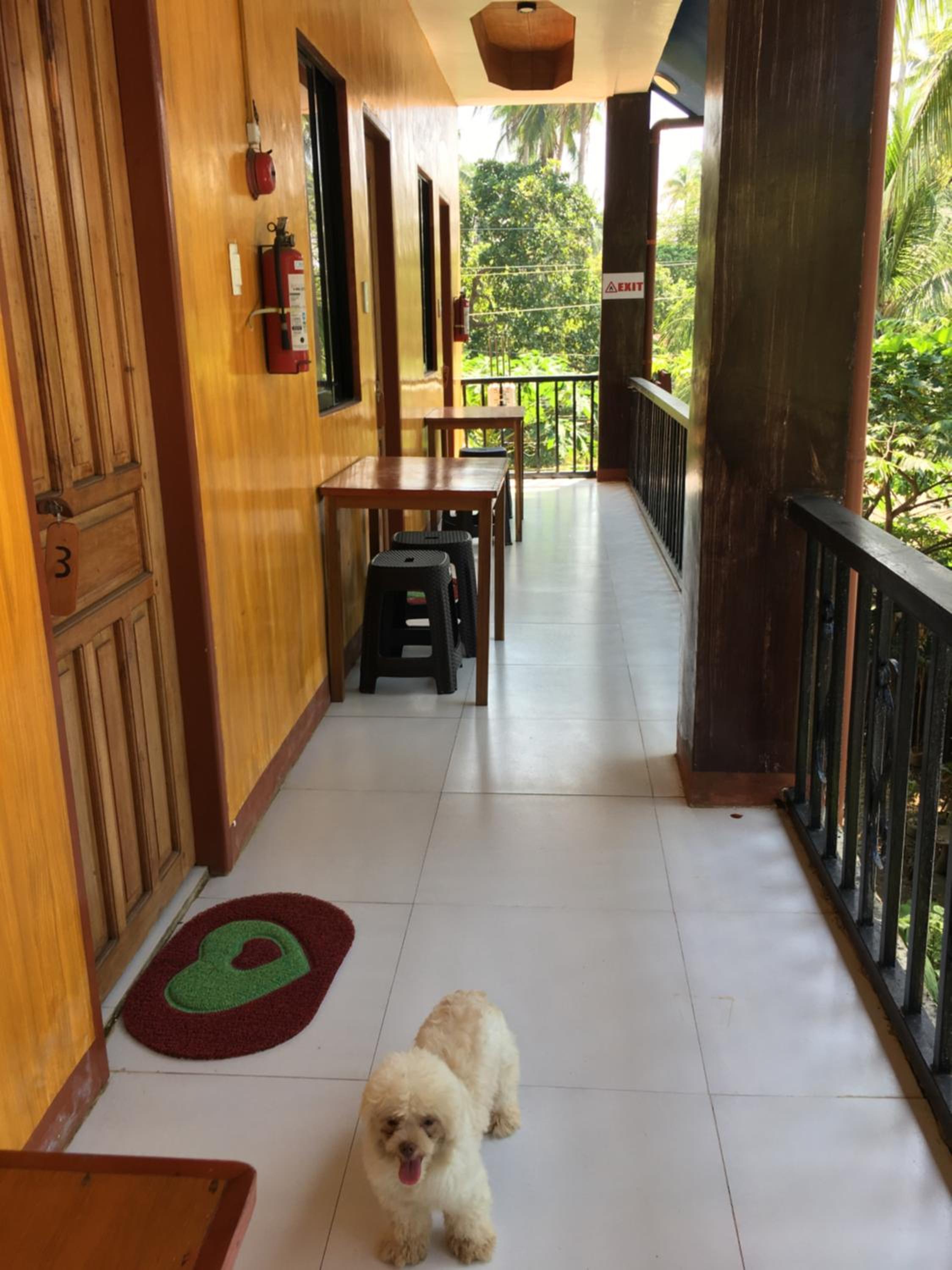 Photo 15