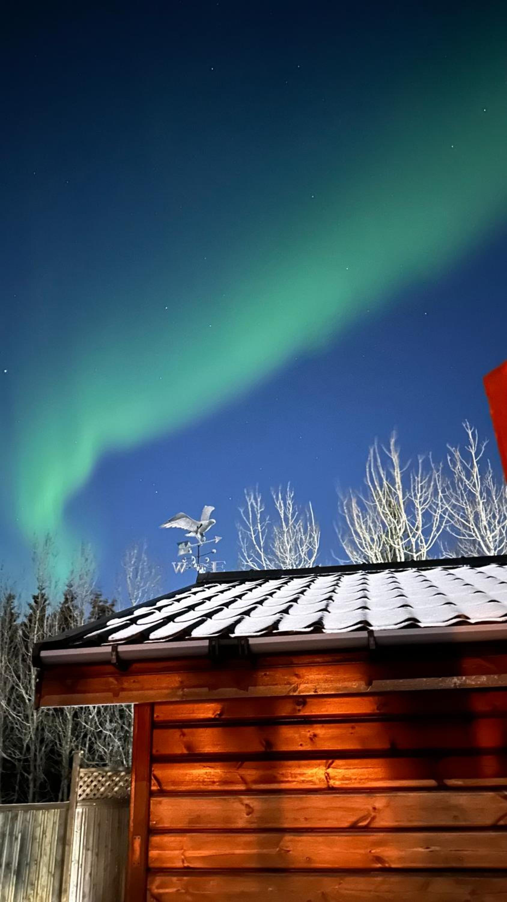 Cozy cottage near Þingvallavatn