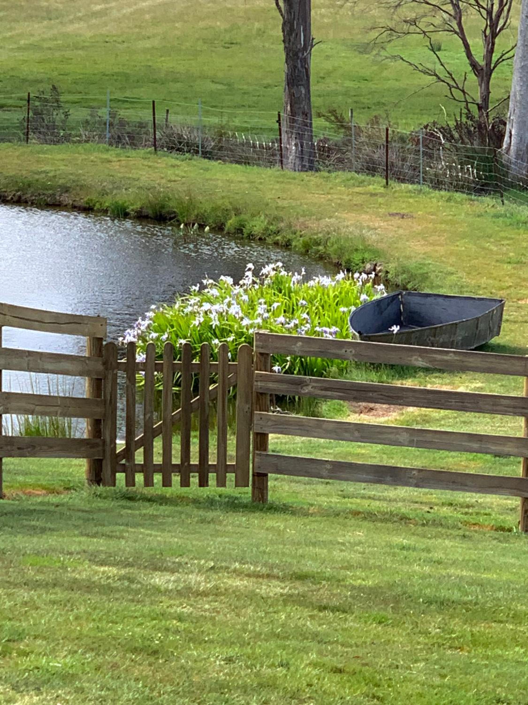 Hazelcreek Cottages