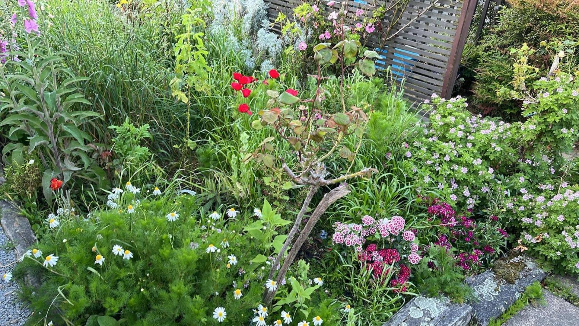 Photo 6