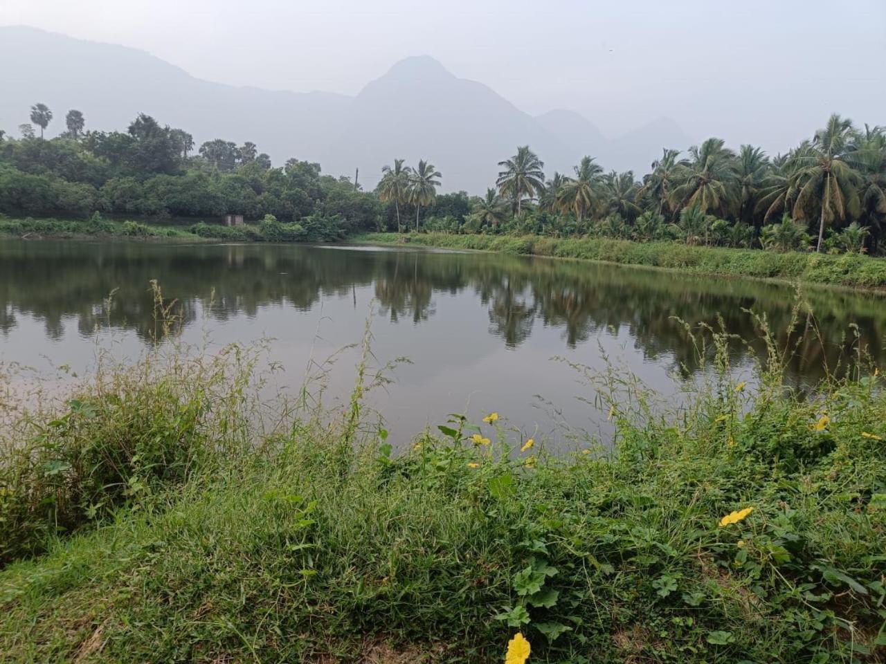 Evergreen Homestay