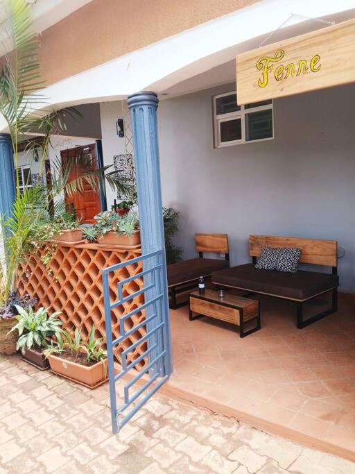 Jjaja's Avocado Grove - Fenne view 5
