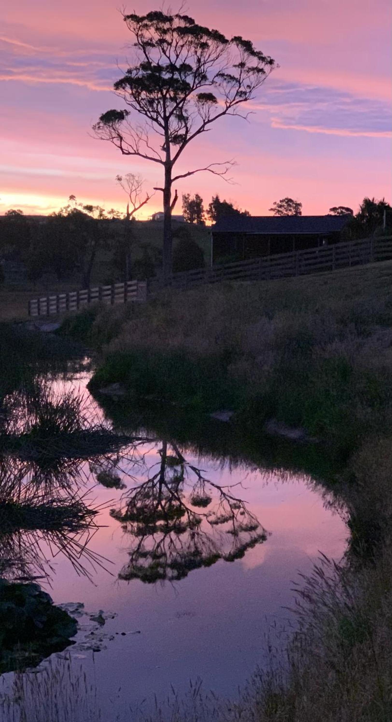 Hazelcreek Cottages